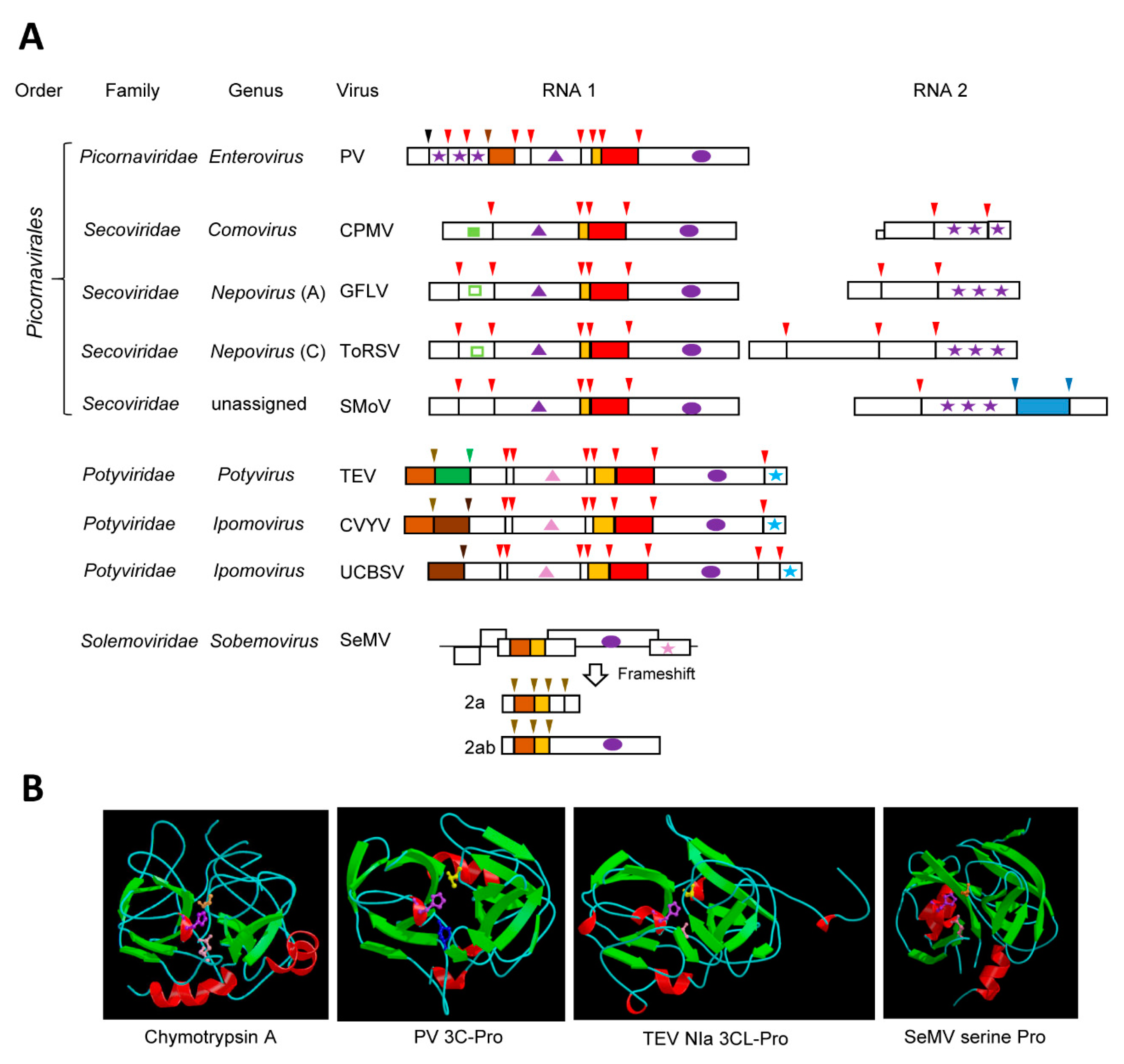 Viruses 11 00066 g001 Viruses 11 00066 g001