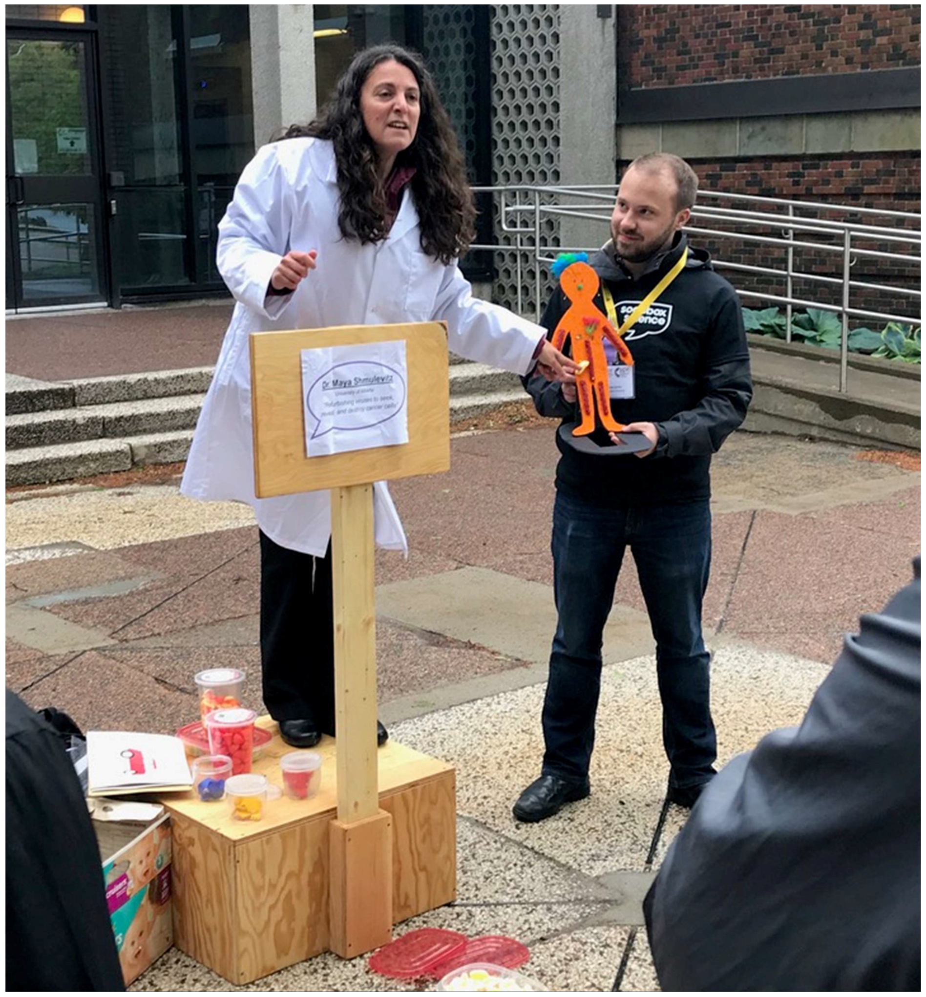 Viruses 11 00079 g002