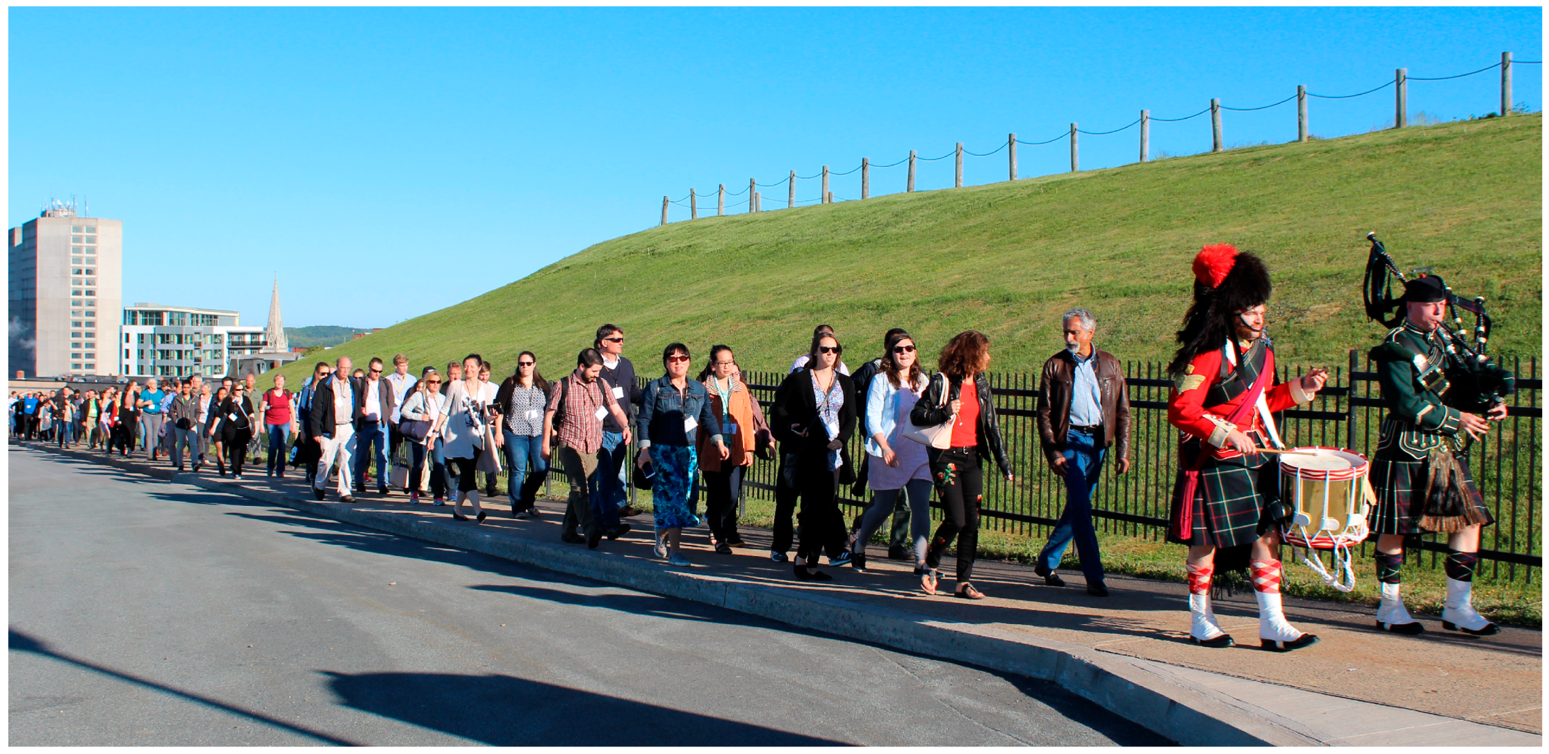 Viruses 11 00079 g006