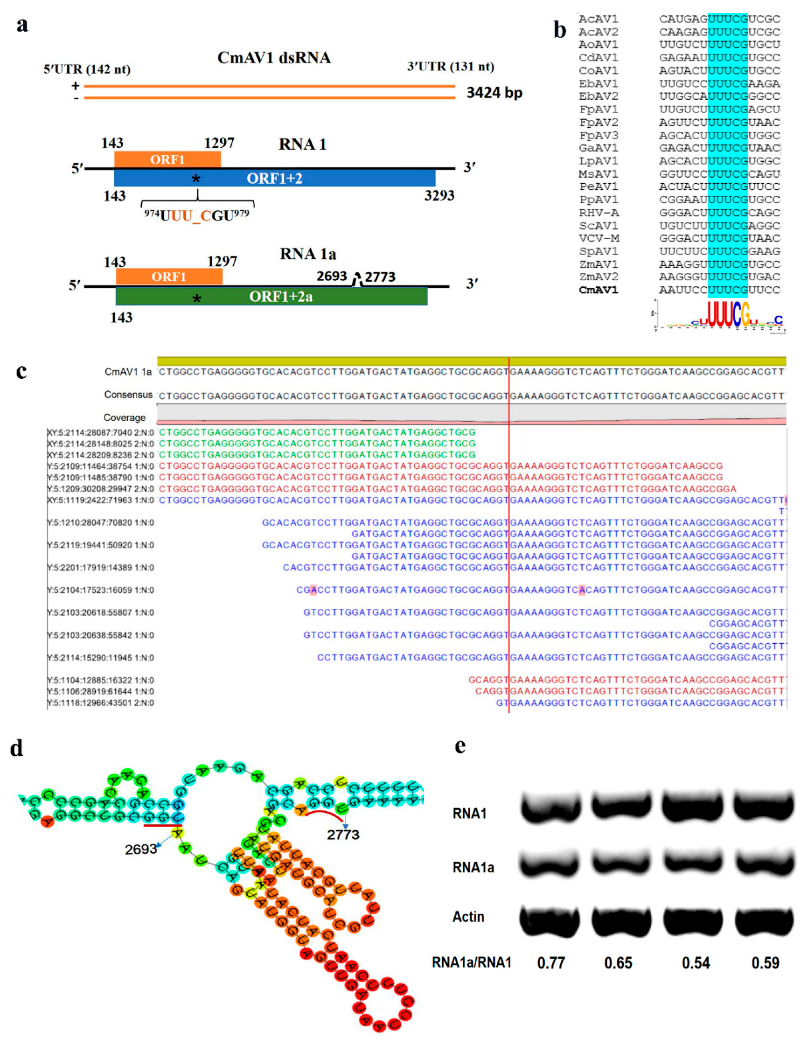 Viruses 11 00081 g006