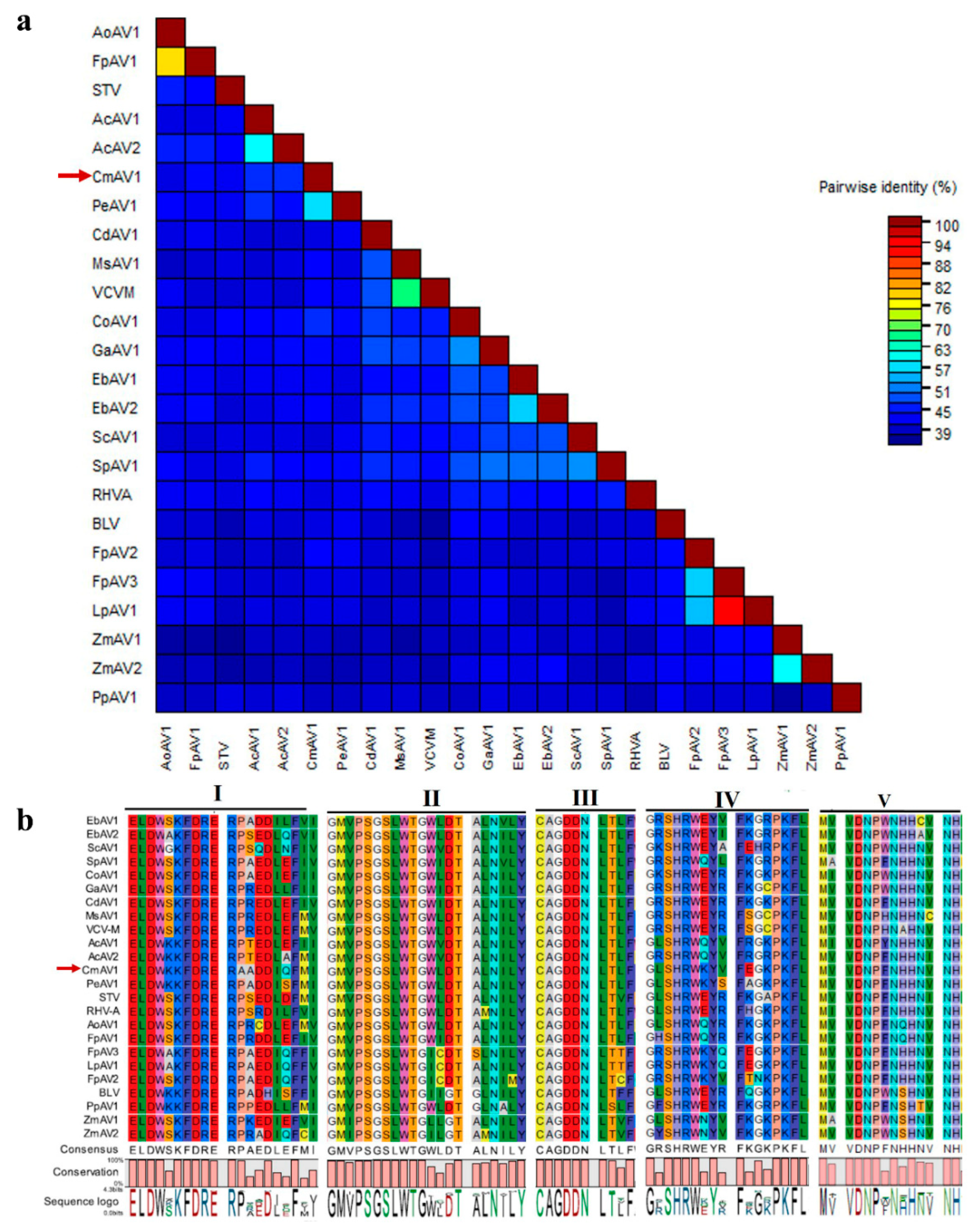 Viruses 11 00081 g008