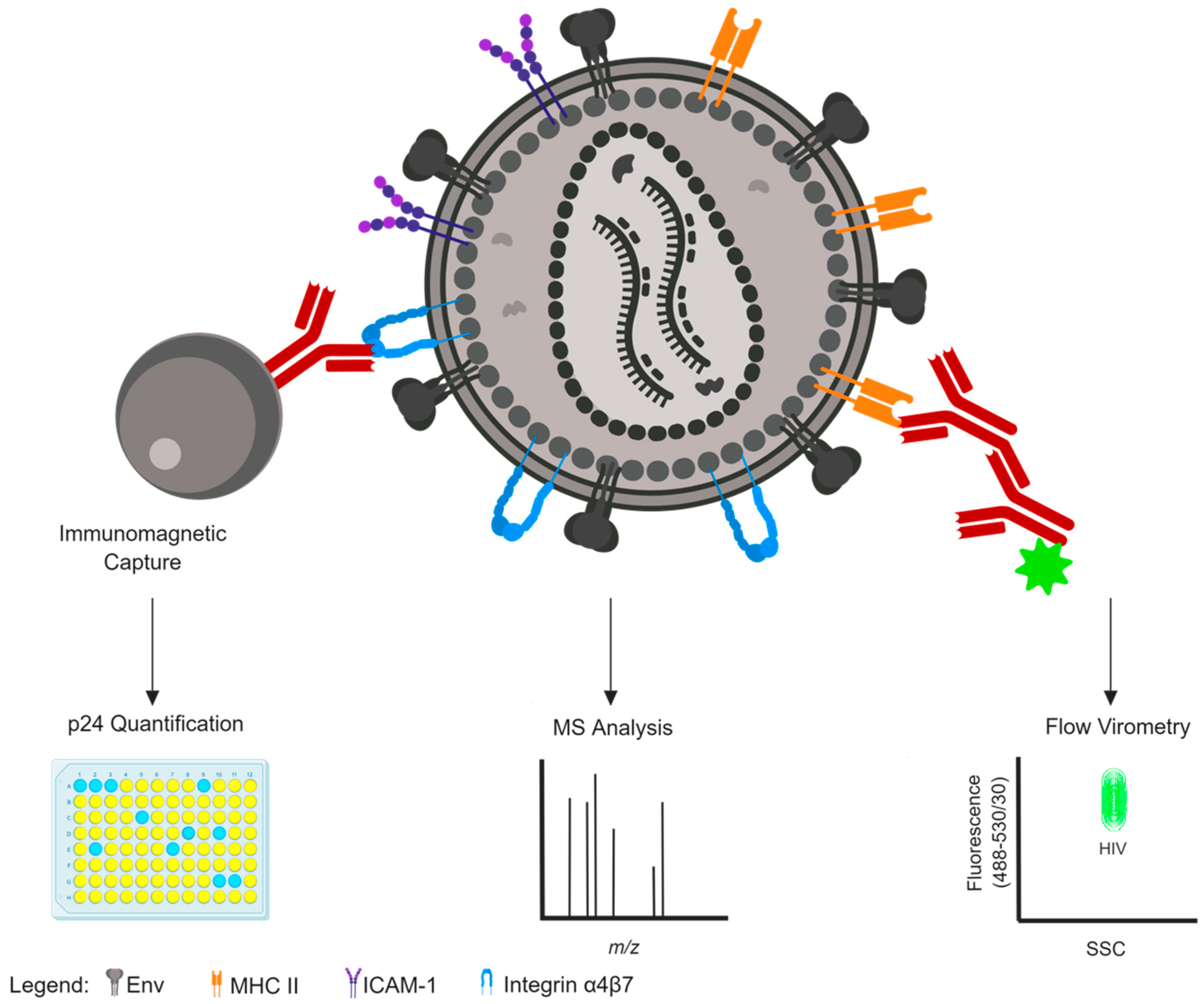 Viruses 11 00085 g001