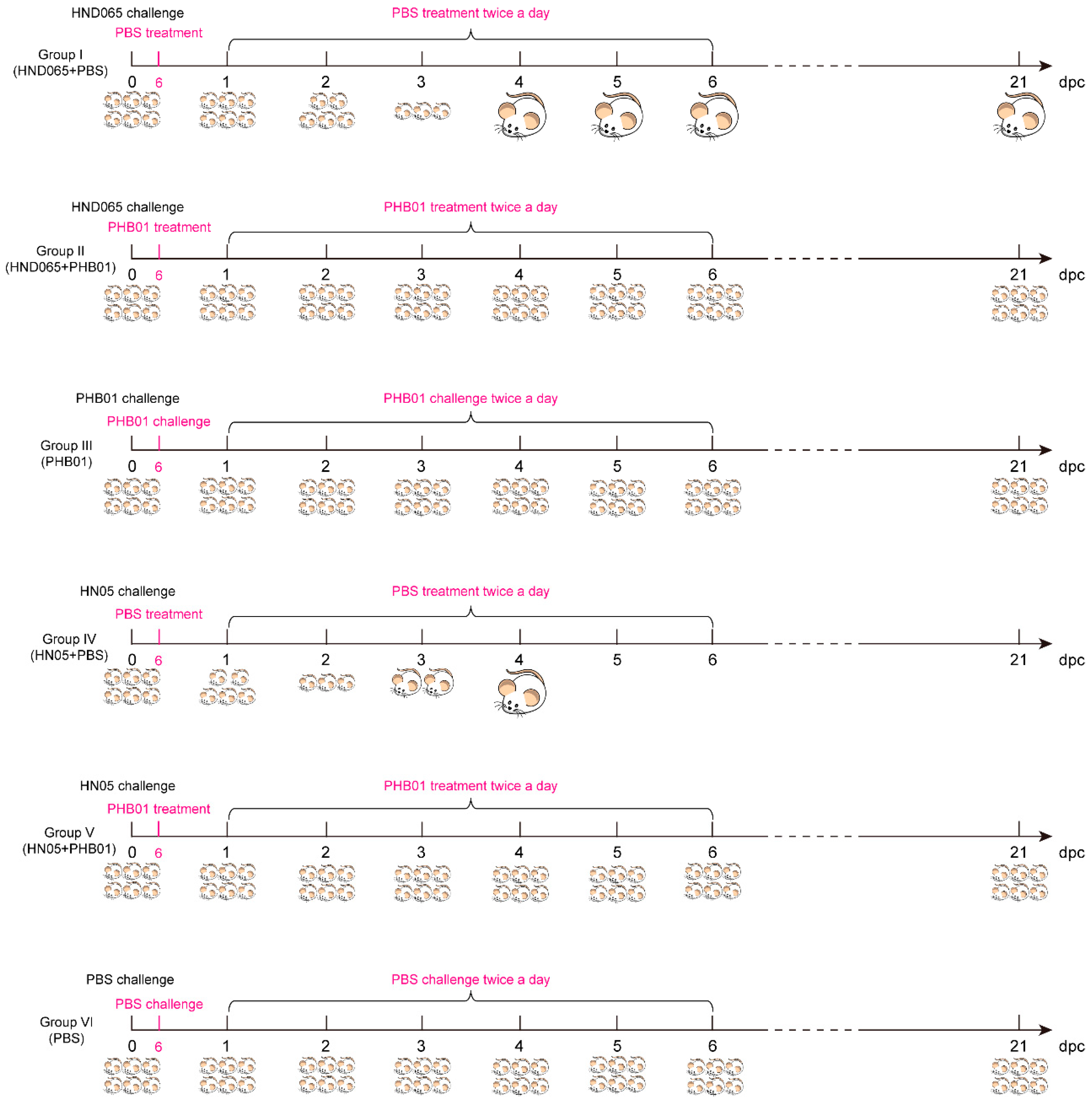 Viruses 11 00086 g001