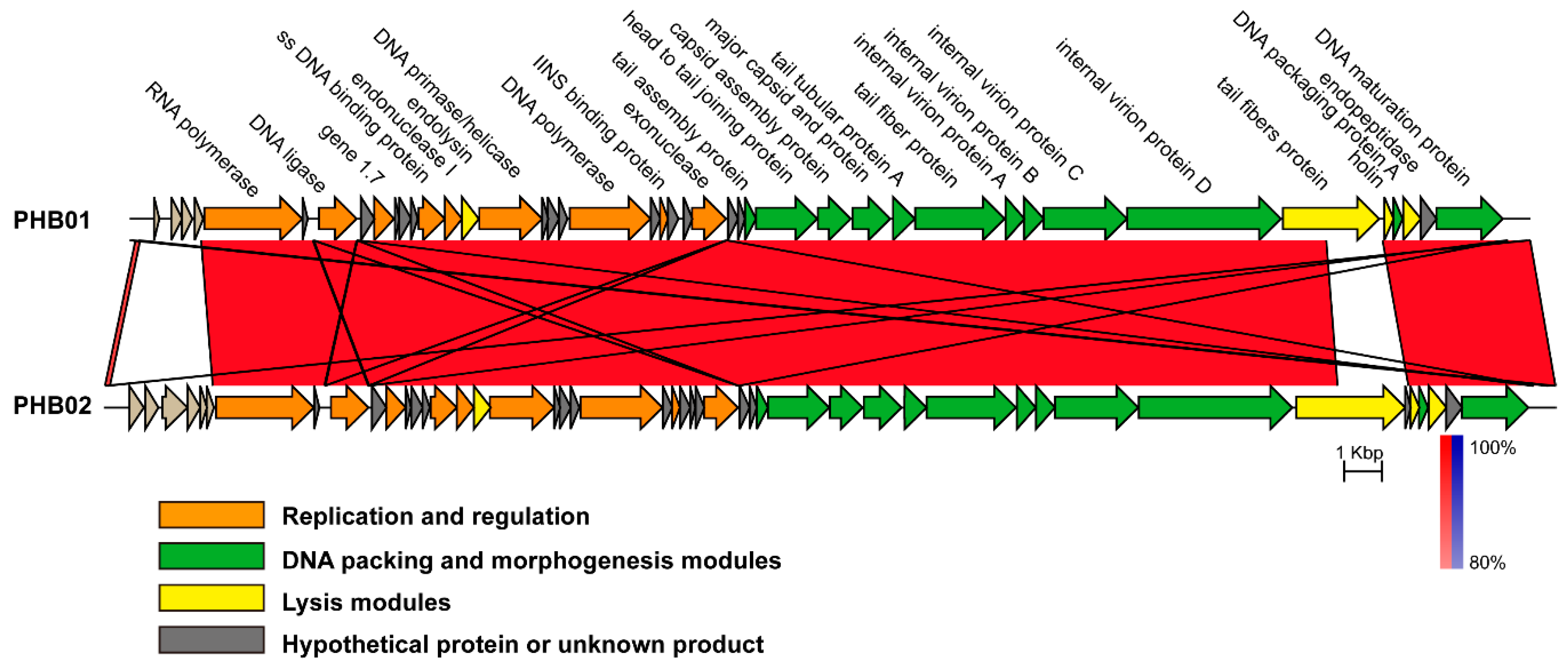 Viruses 11 00086 g005