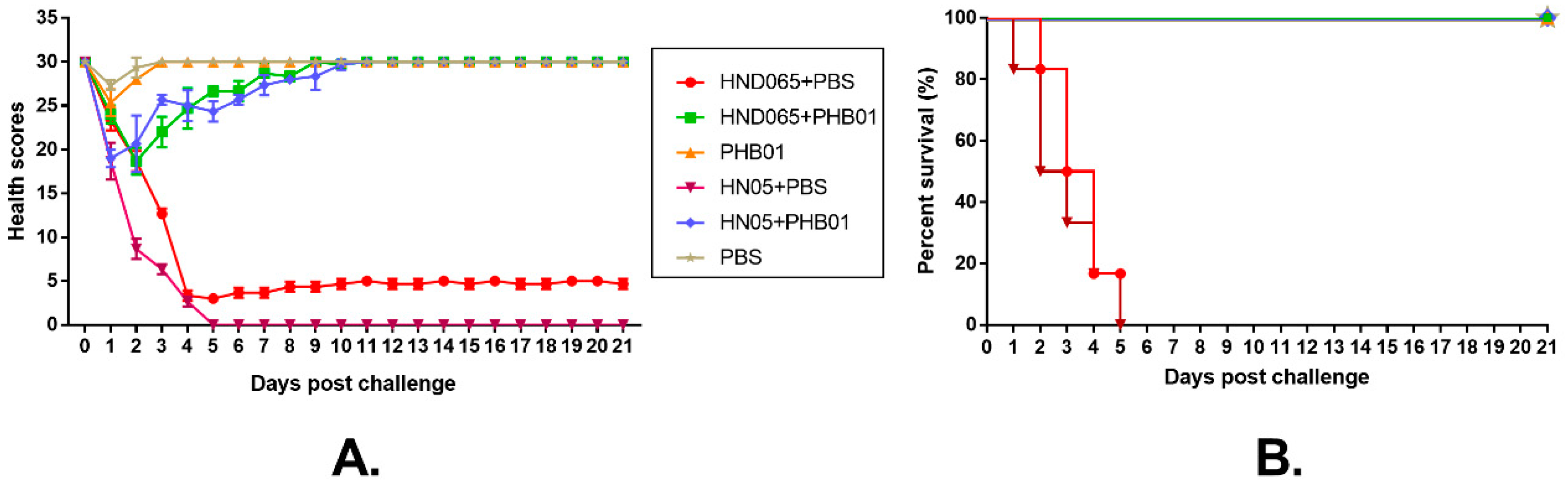 Viruses 11 00086 g008