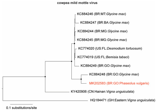 viruses january 2019 browse