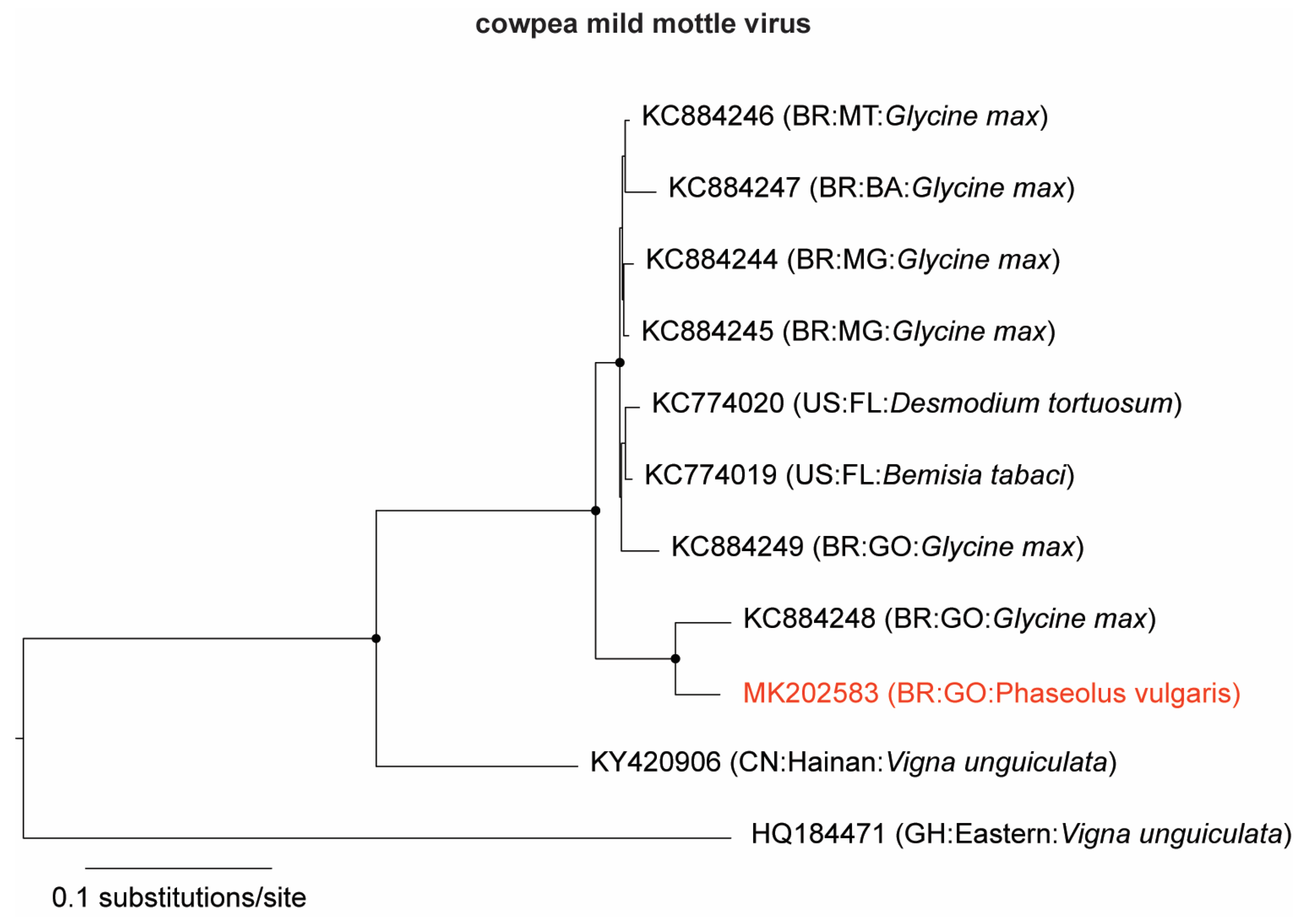 Viruses 11 00090 g001