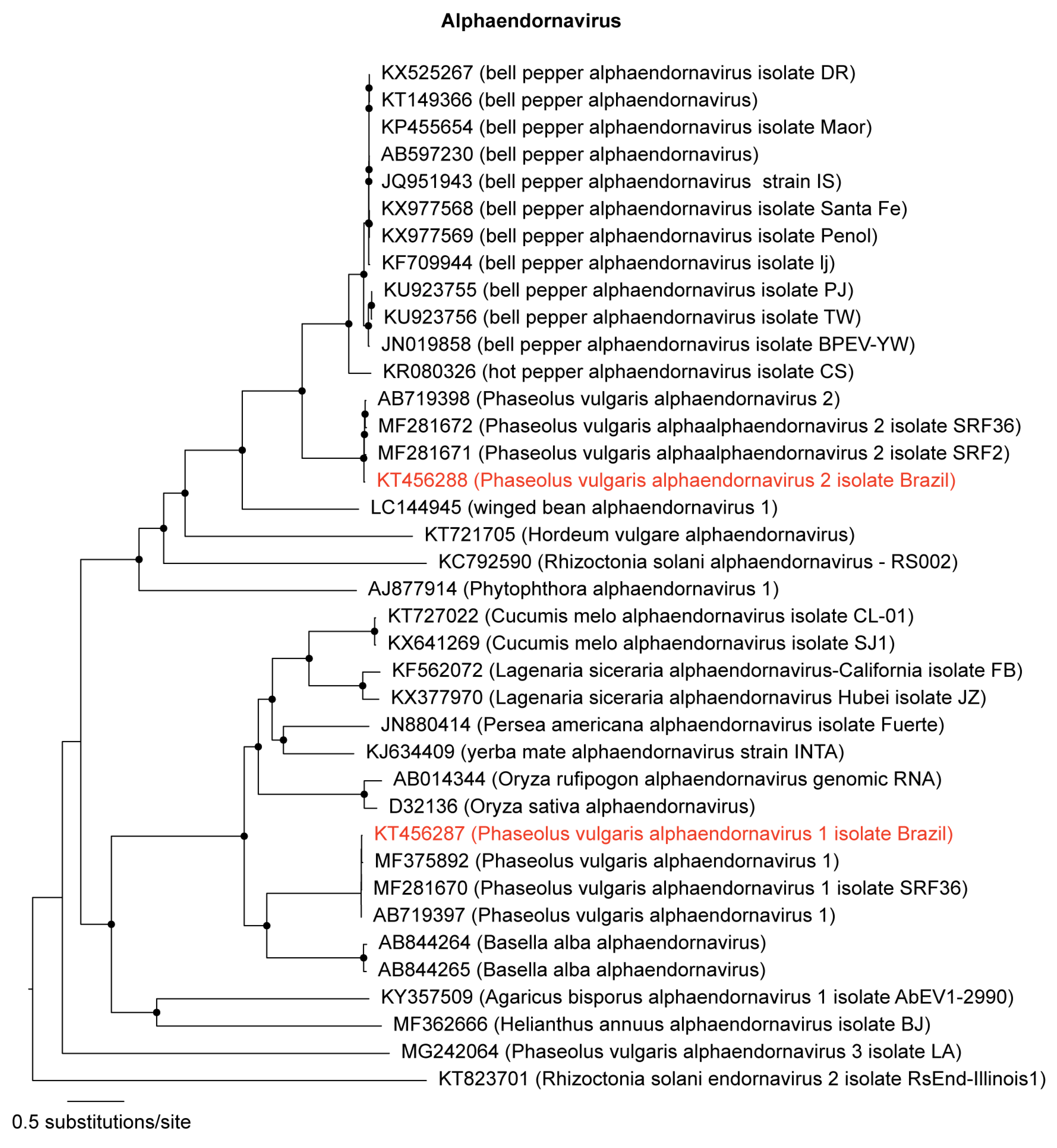 Viruses 11 00090 g002