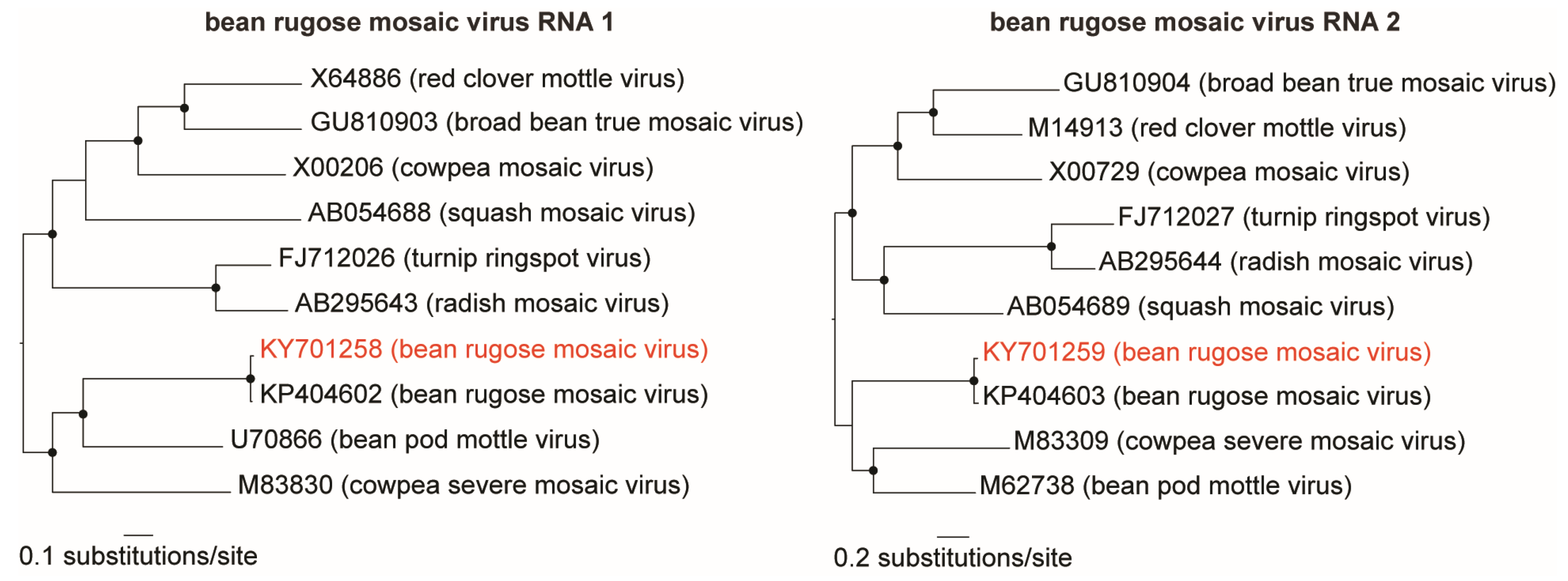 Viruses 11 00090 g003