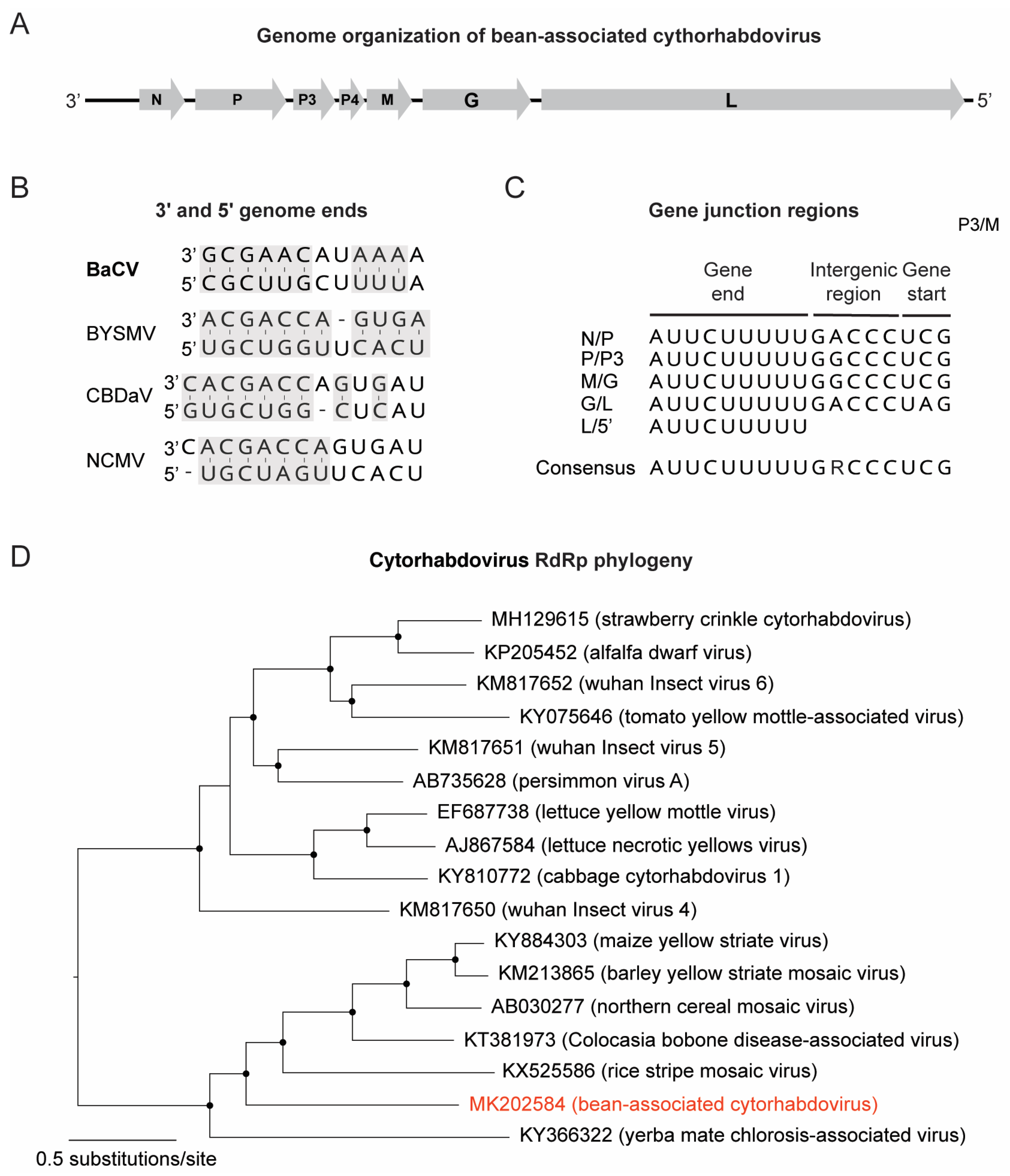 Viruses 11 00090 g004