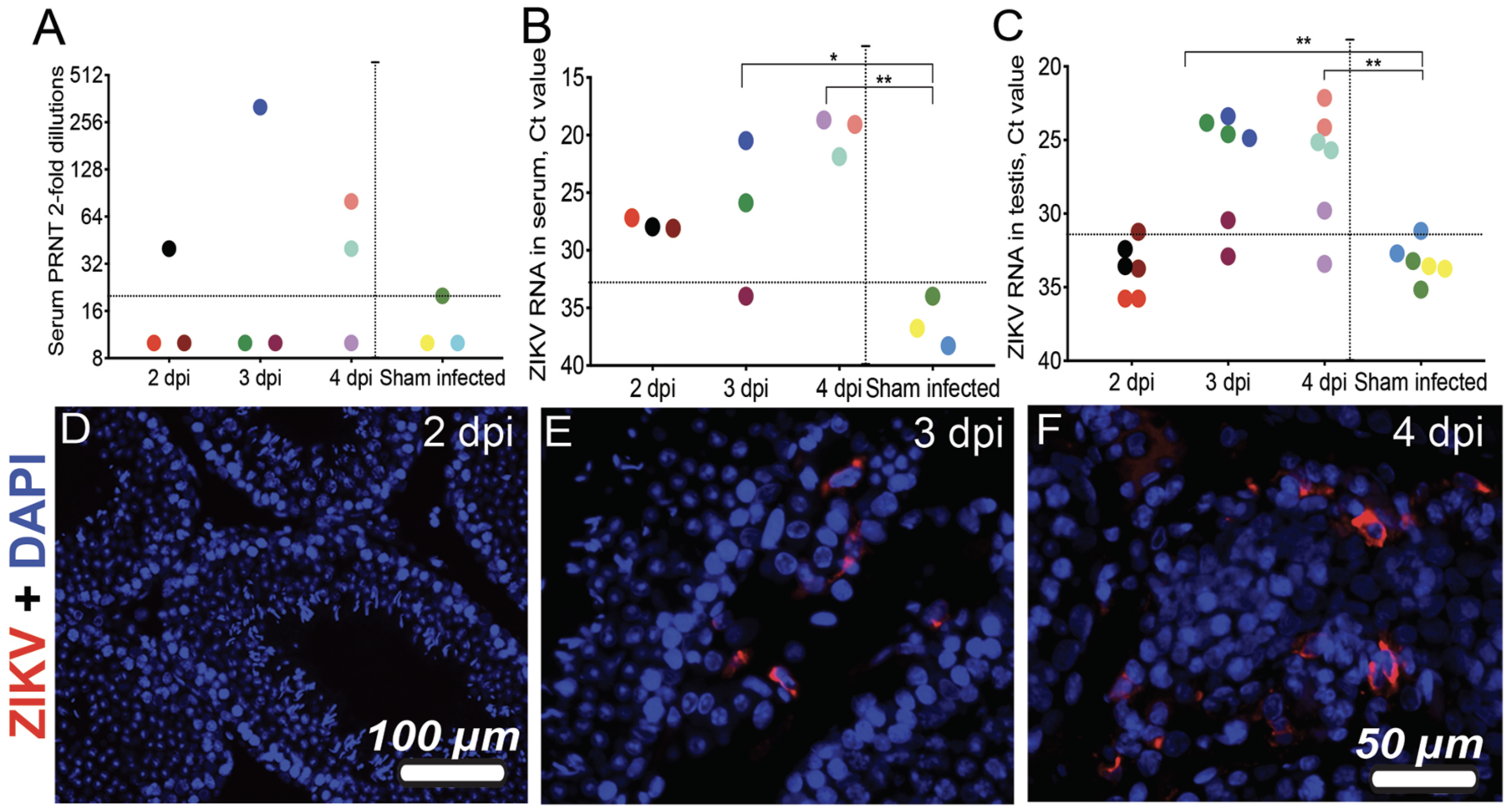 Viruses 11 00092 g001 Viruses 11 00092 g001
