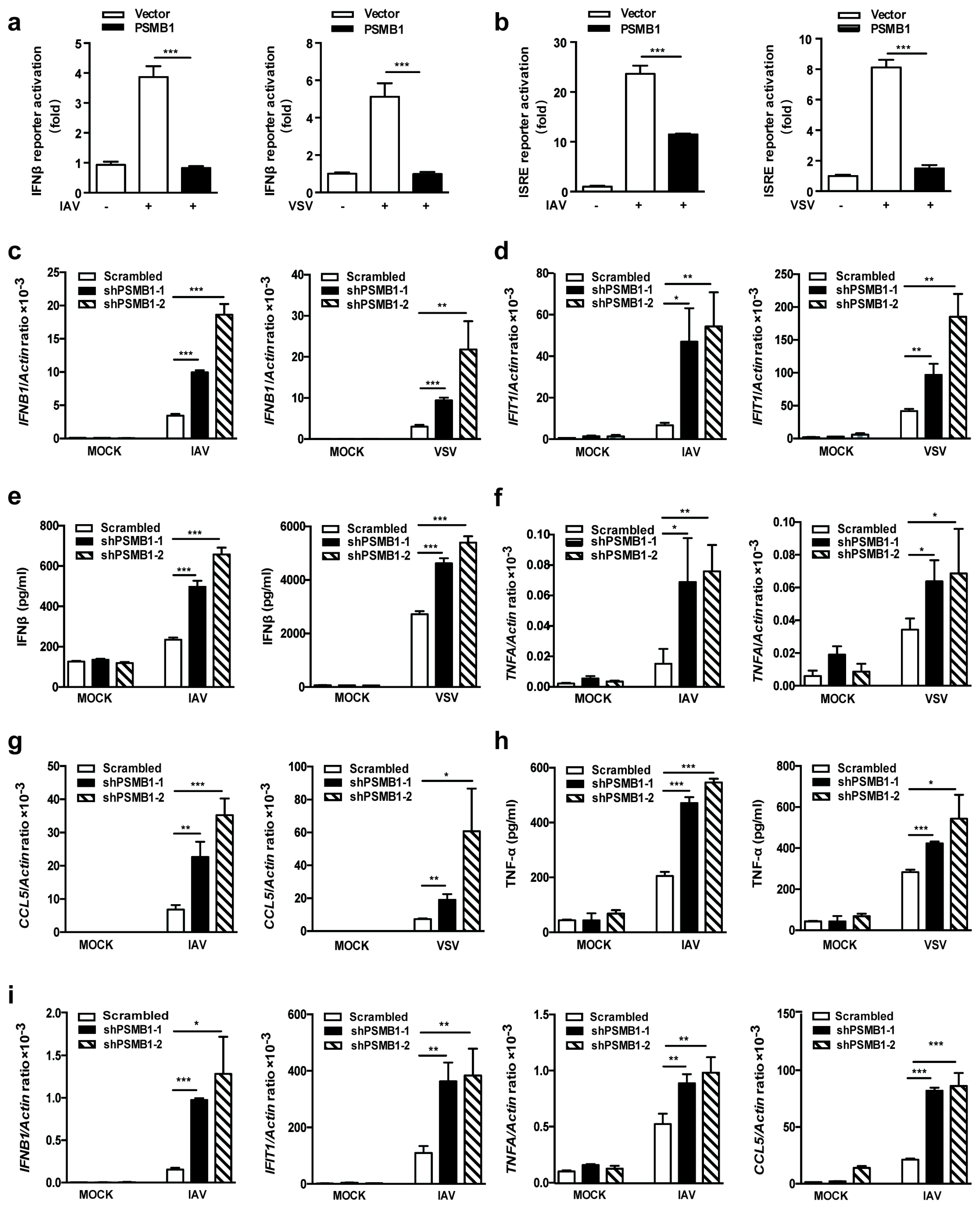 Viruses 11 00099 g002