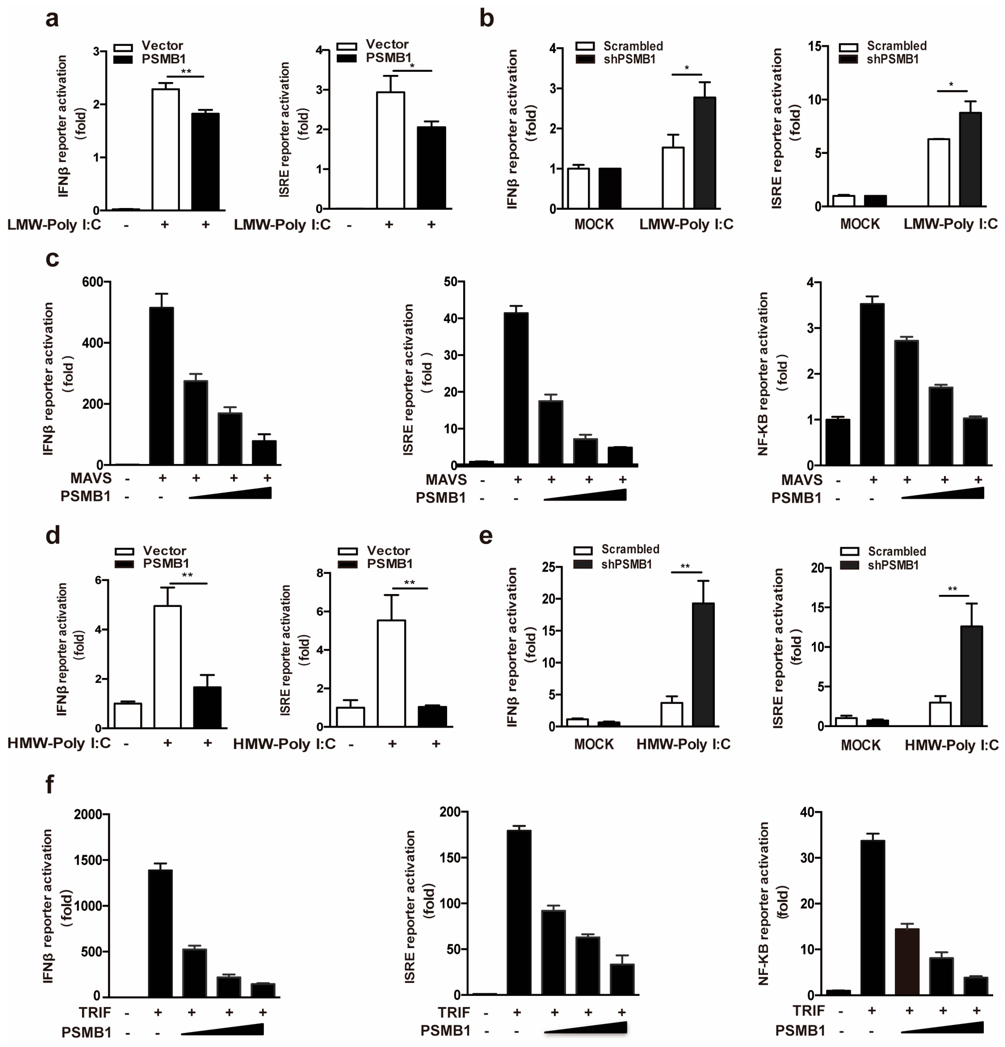 Viruses 11 00099 g003