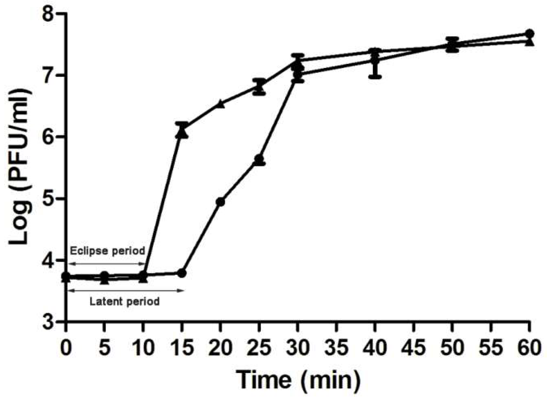 Viruses 11 00104 g002 Viruses 11 00104 g002