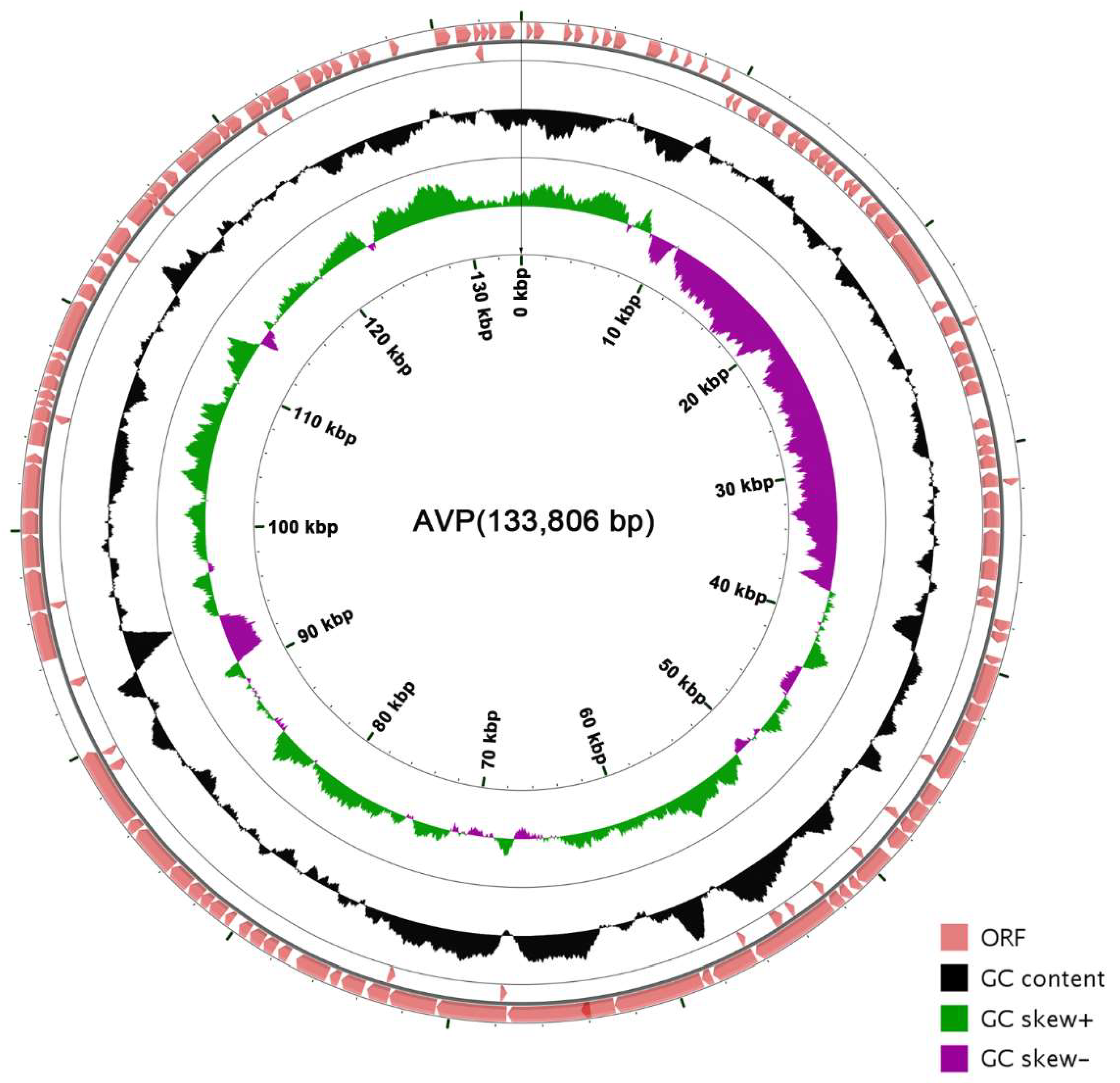 Viruses 11 00104 g003 Viruses 11 00104 g003