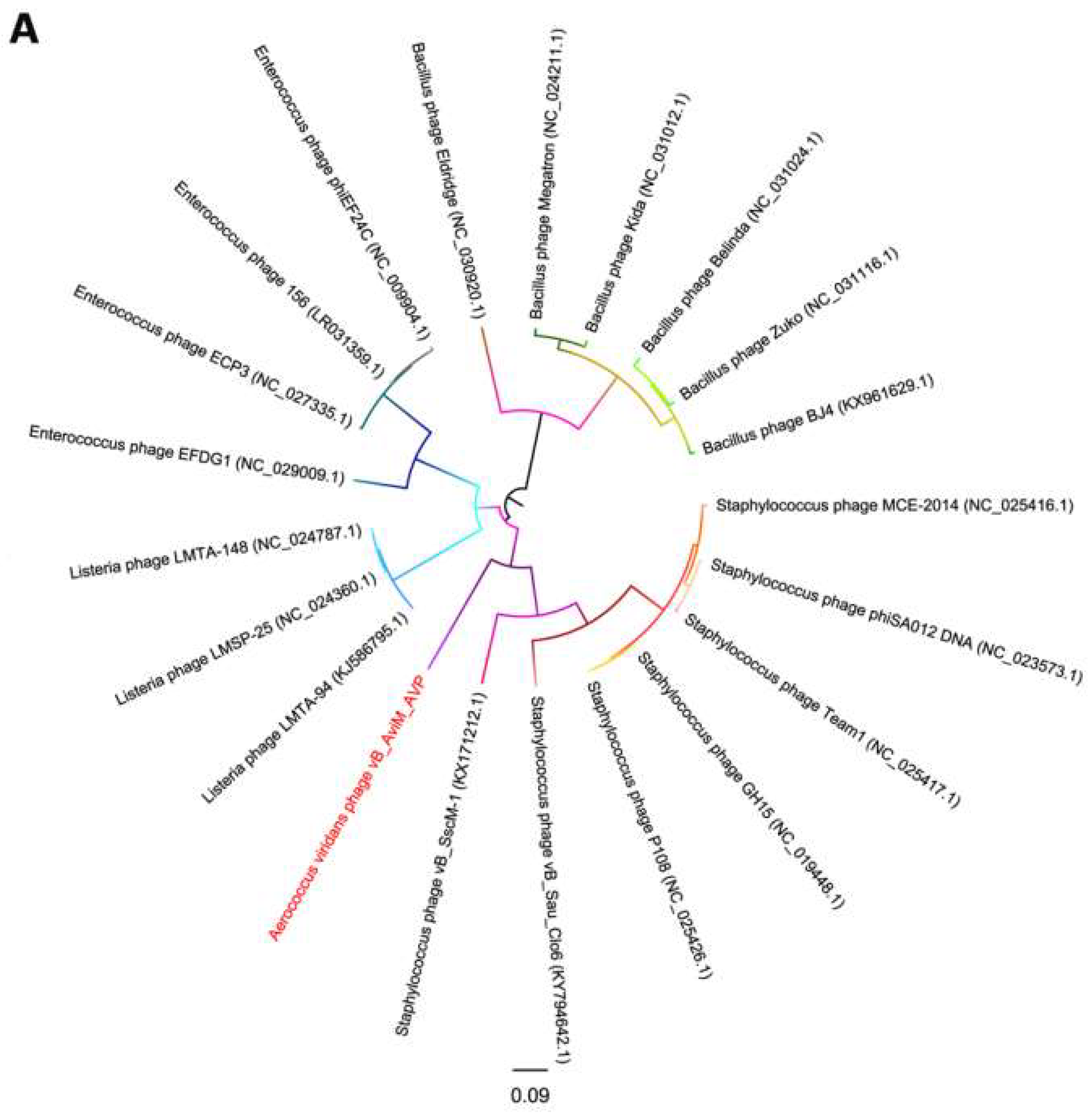 Viruses 11 00104 g005a Viruses 11 00104 g005a