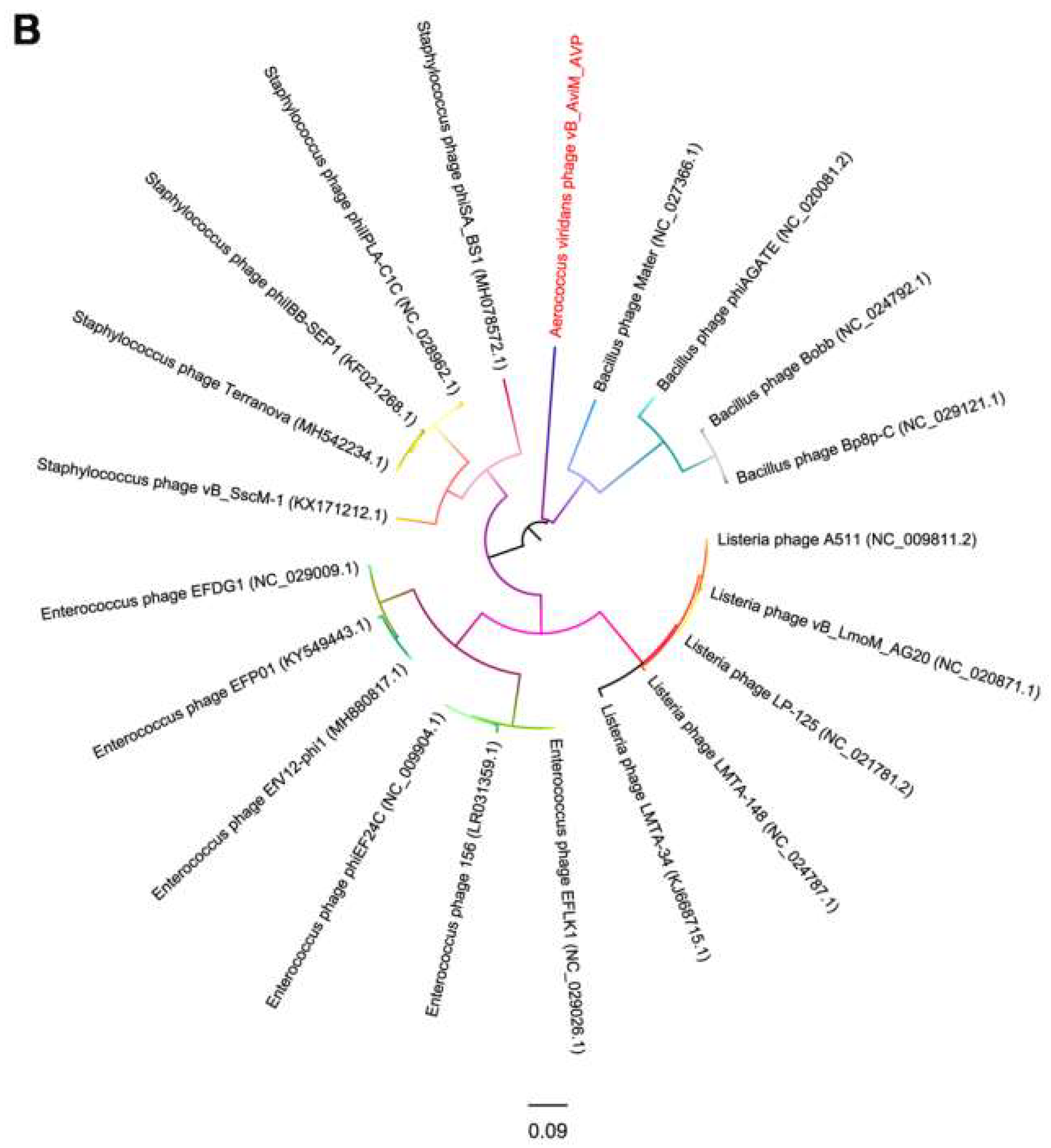 Viruses 11 00104 g005b Viruses 11 00104 g005b