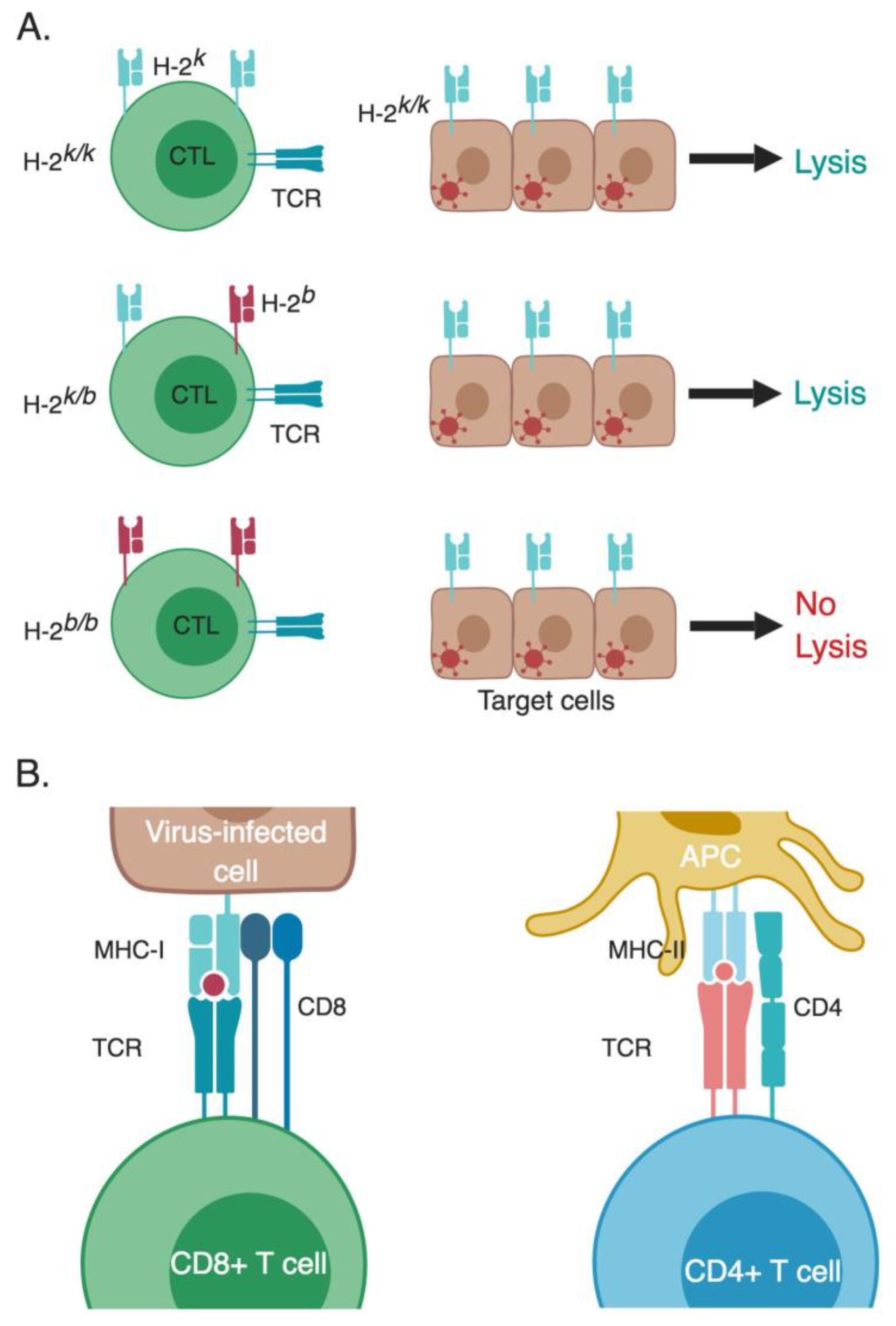 Viruses 11 00106 g002 Viruses 11 00106 g002