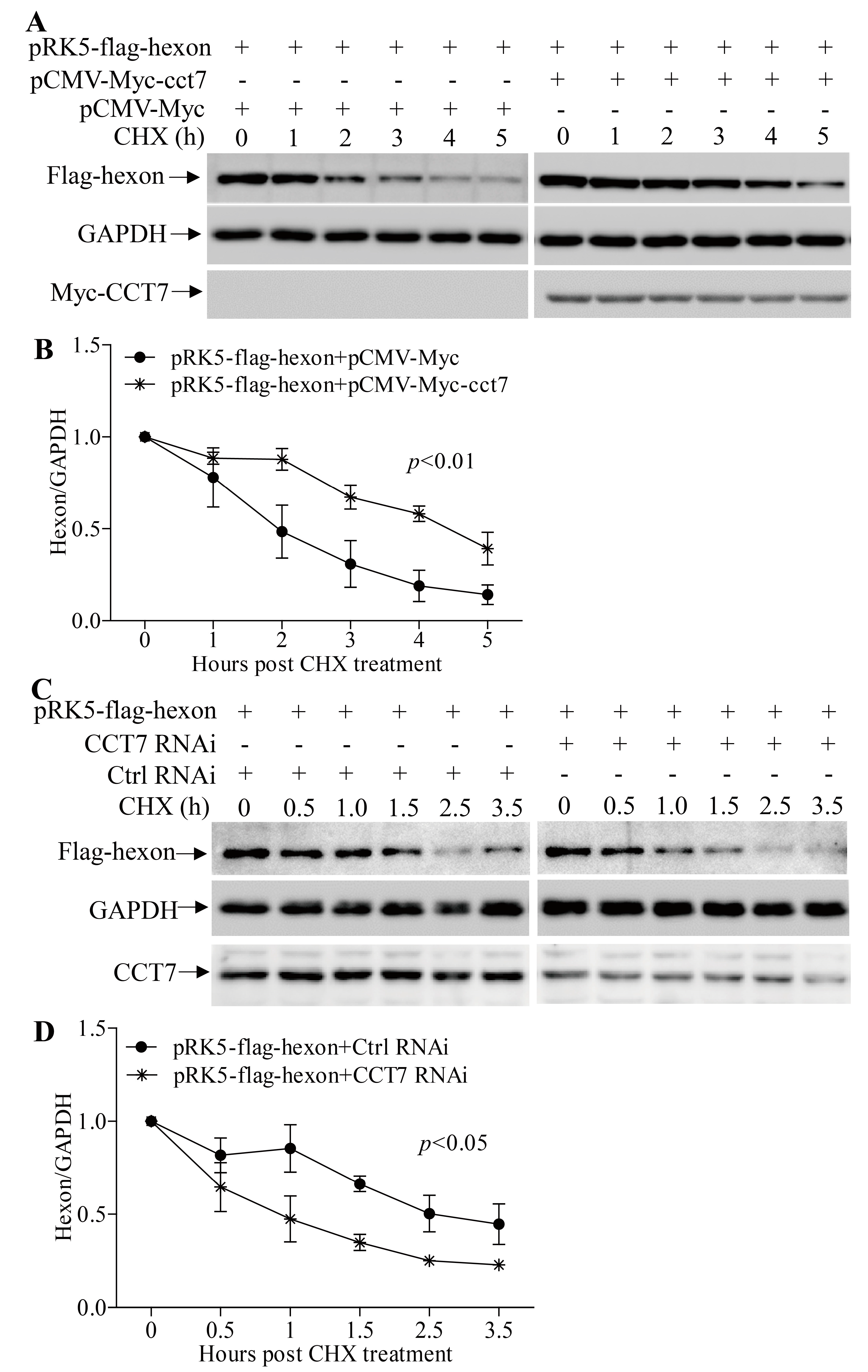 Viruses 11 00107 g007 Viruses 11 00107 g007