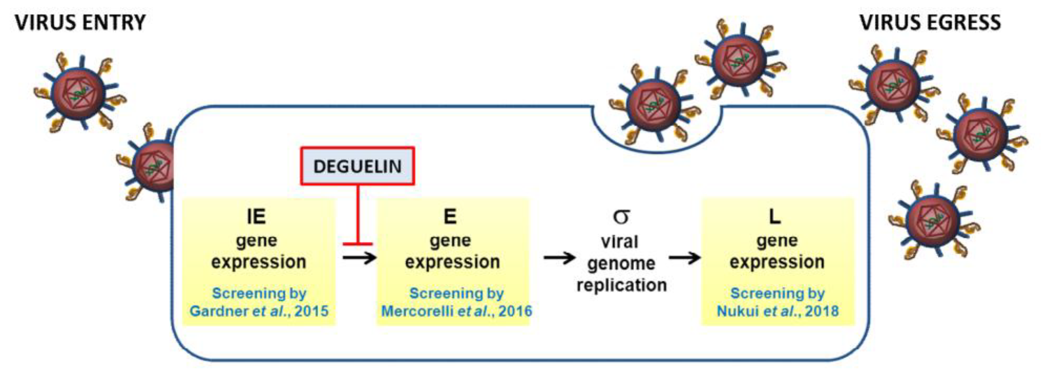 Viruses 11 00117 g001 Viruses 11 00117 g001