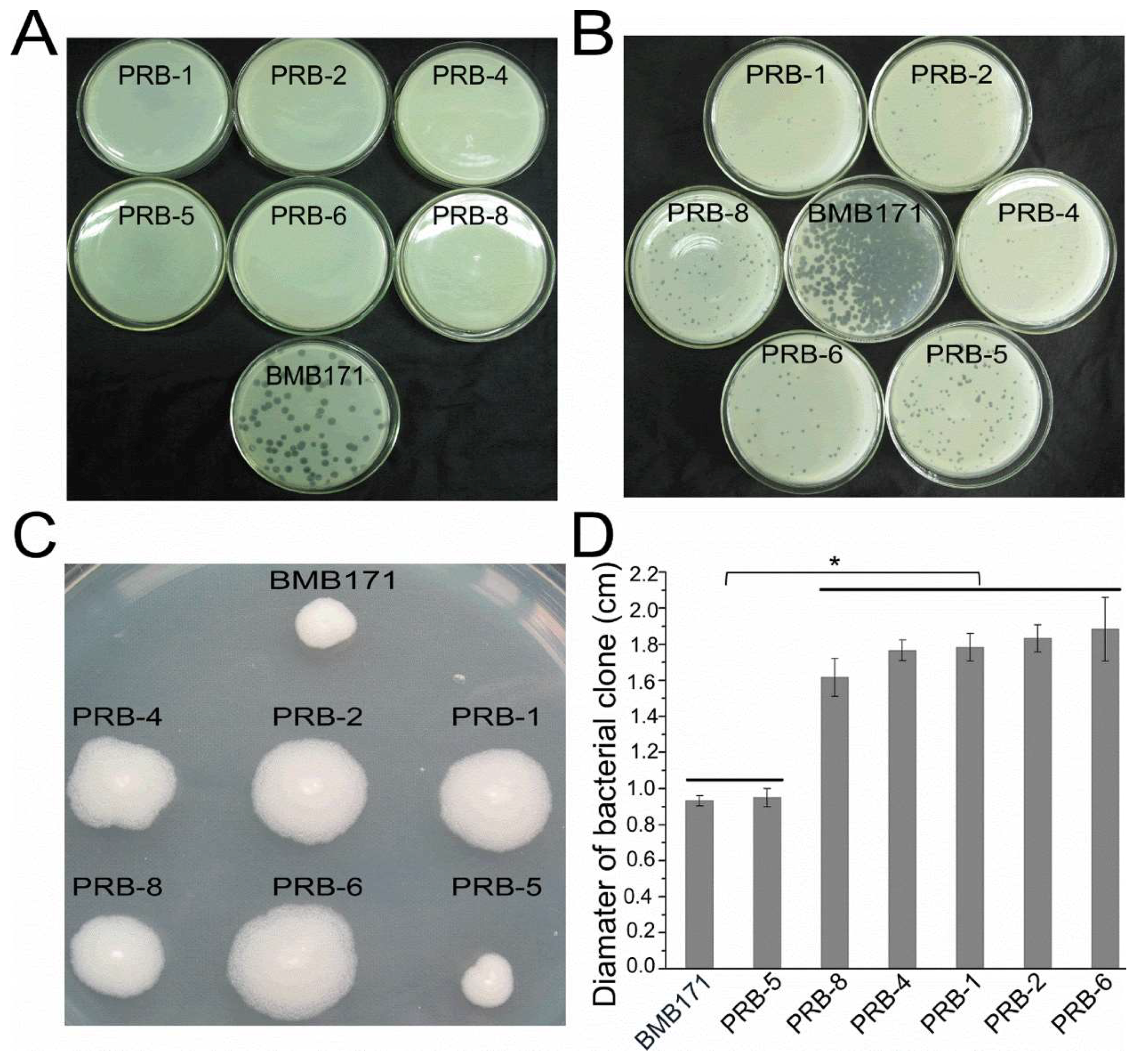 Viruses 11 00118 g001