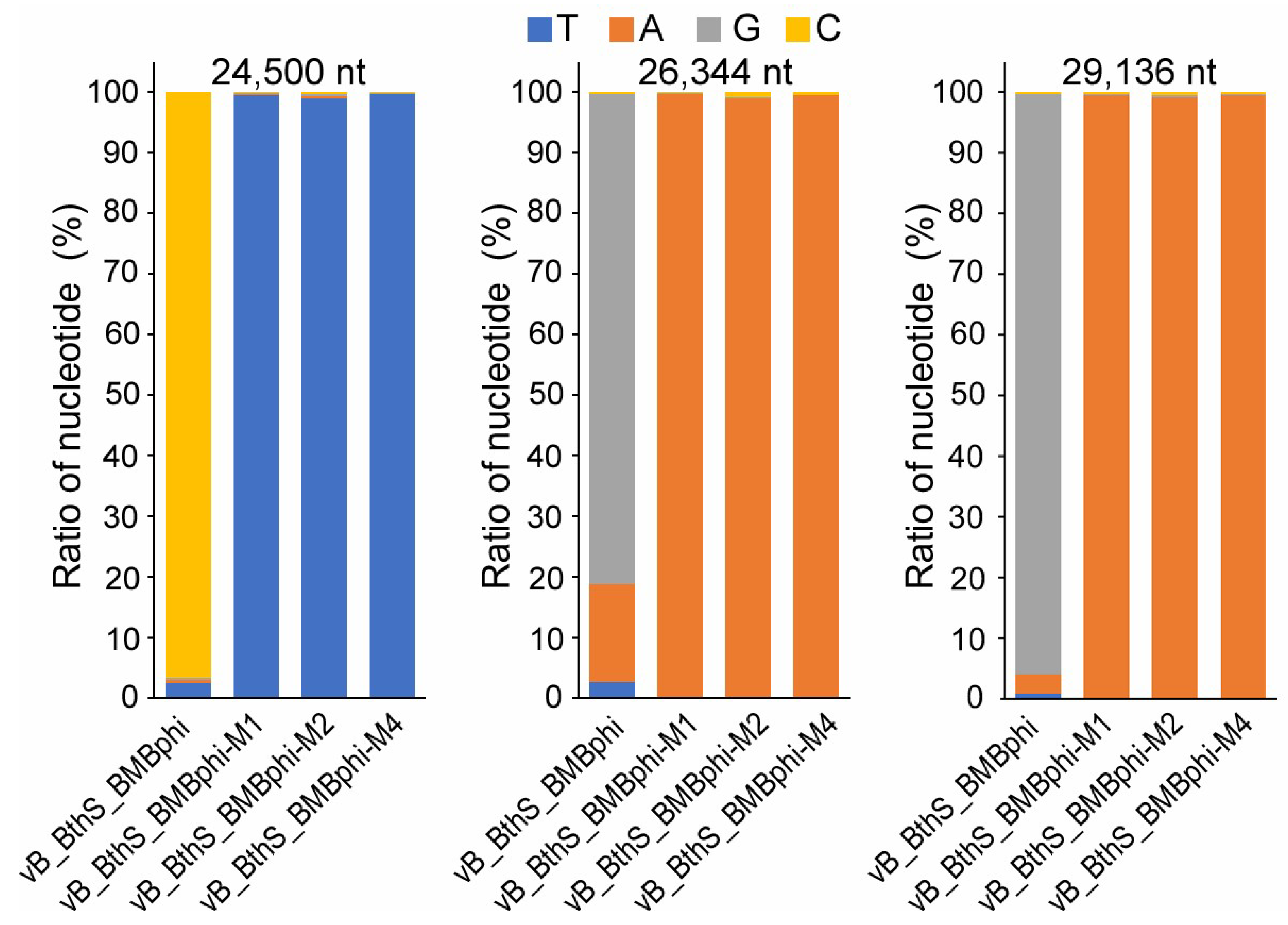 Viruses 11 00118 g005