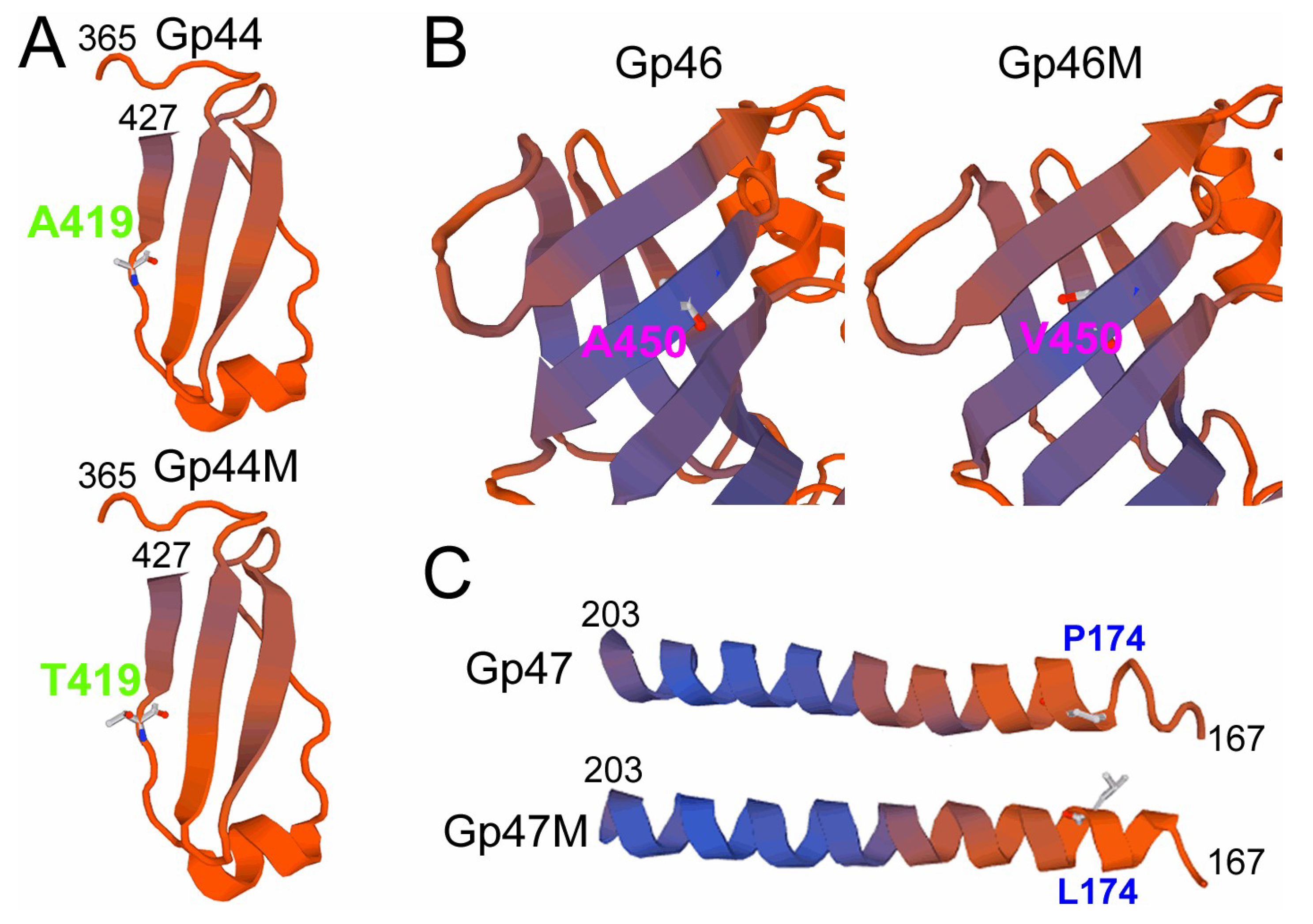 Viruses 11 00118 g006