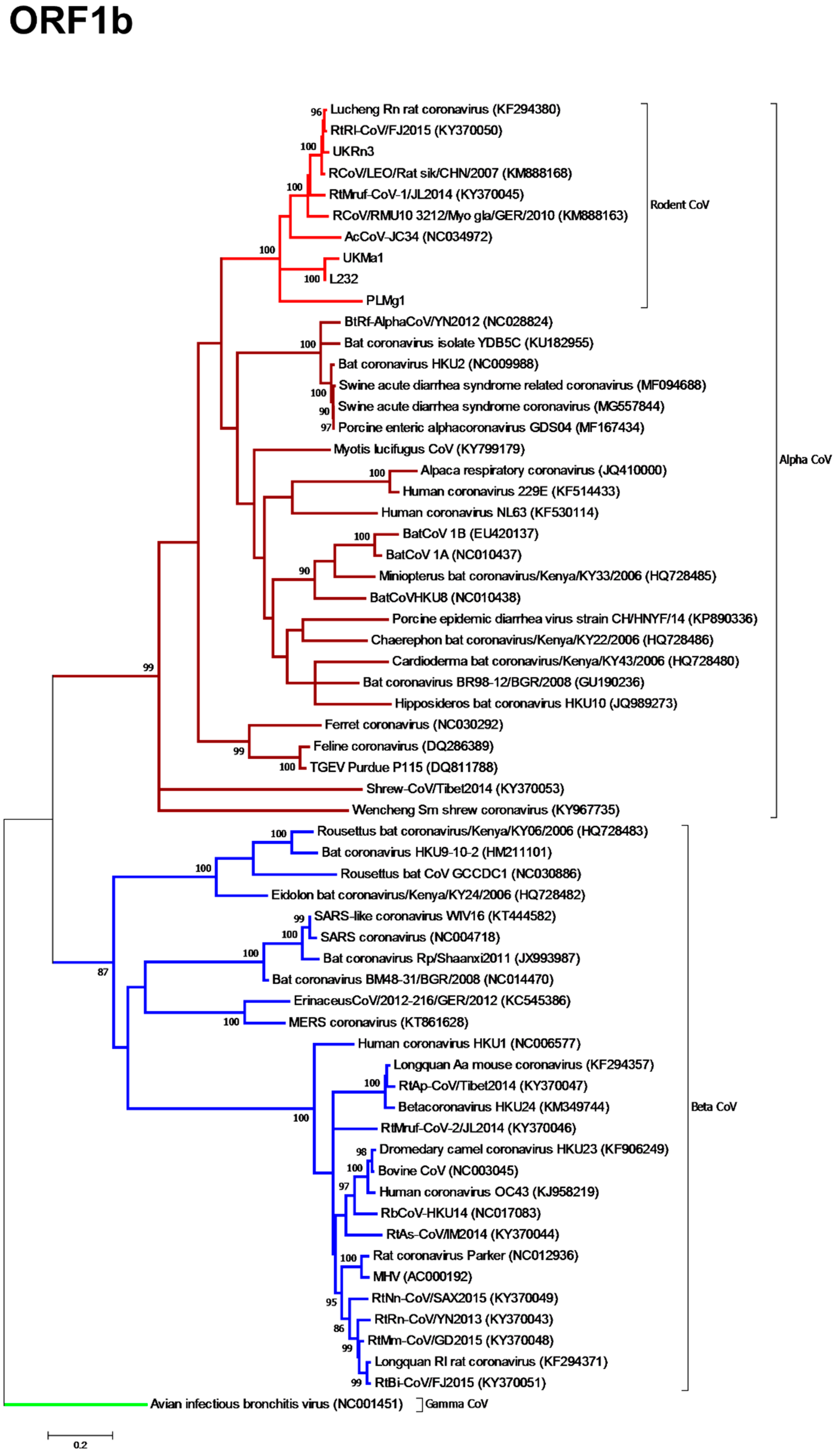 Viruses 11 00125 g002 Viruses 11 00125 g002
