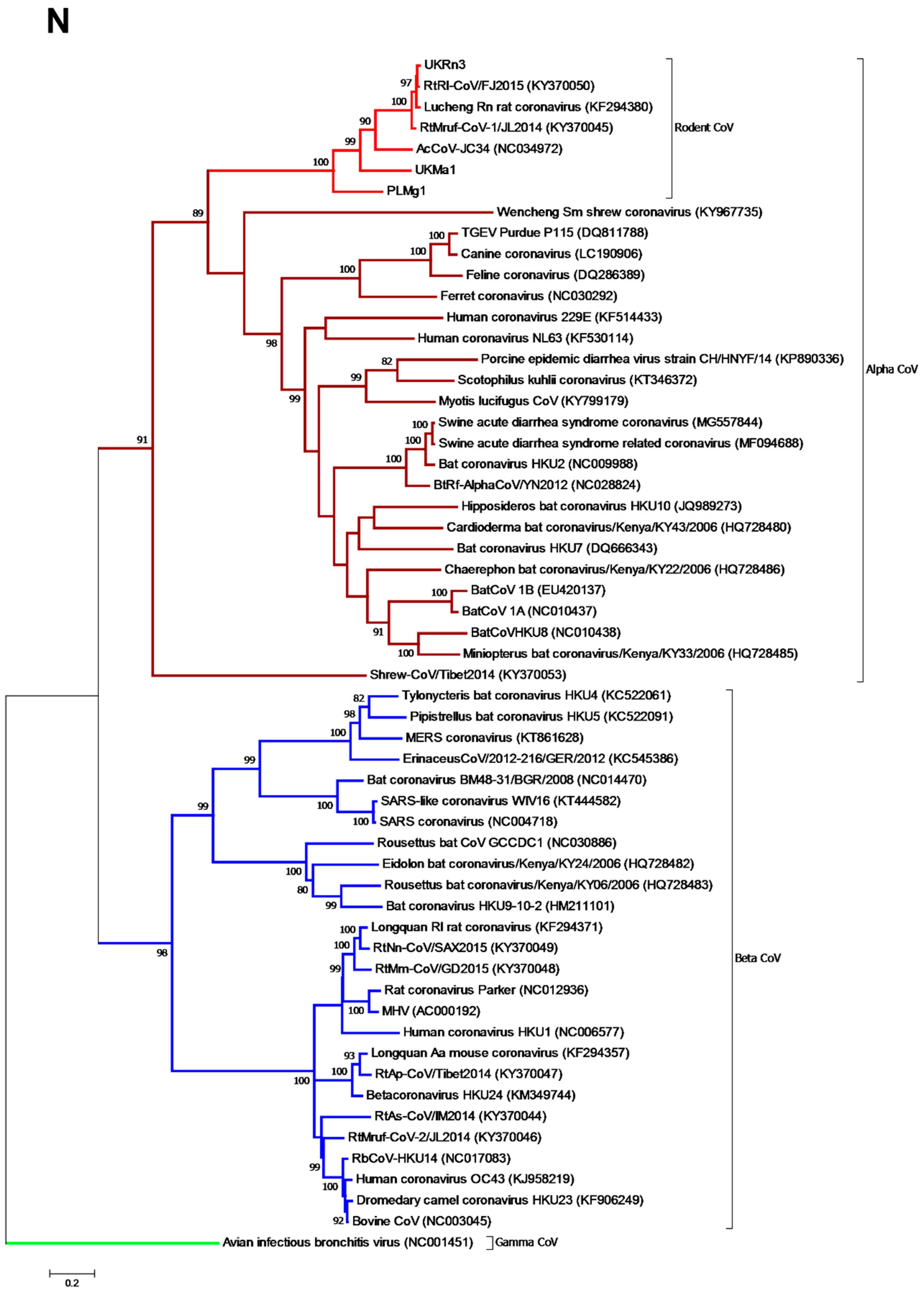 Viruses 11 00125 g003 Viruses 11 00125 g003