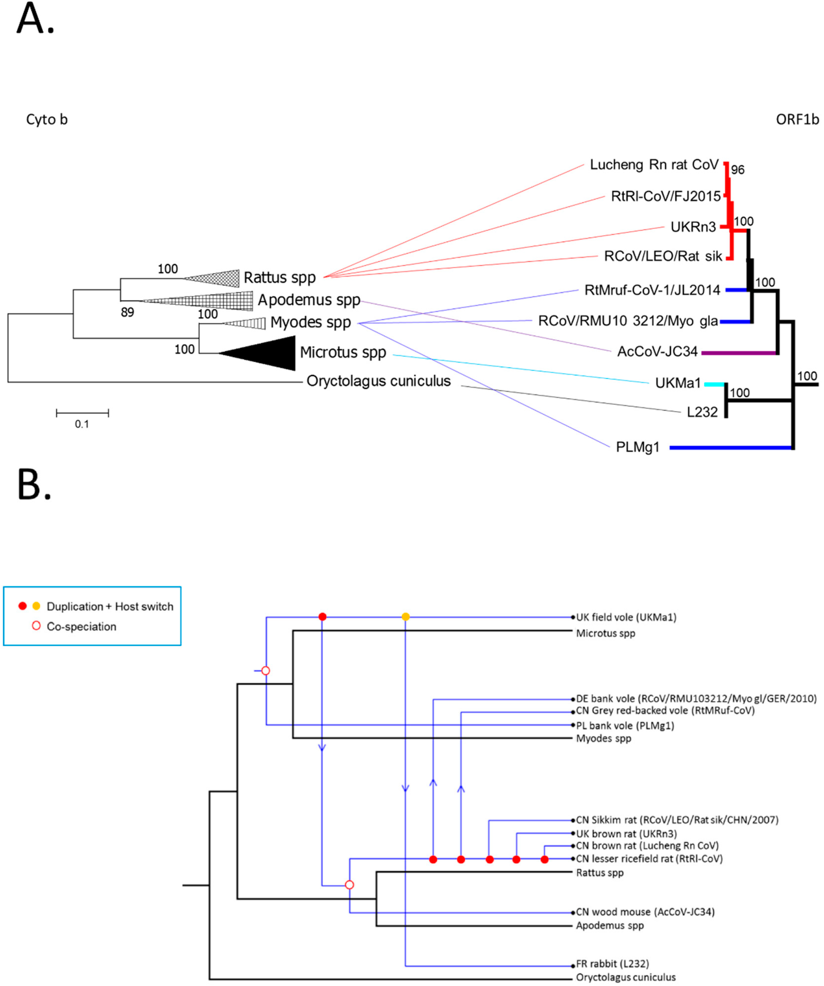Viruses 11 00125 g005 Viruses 11 00125 g005