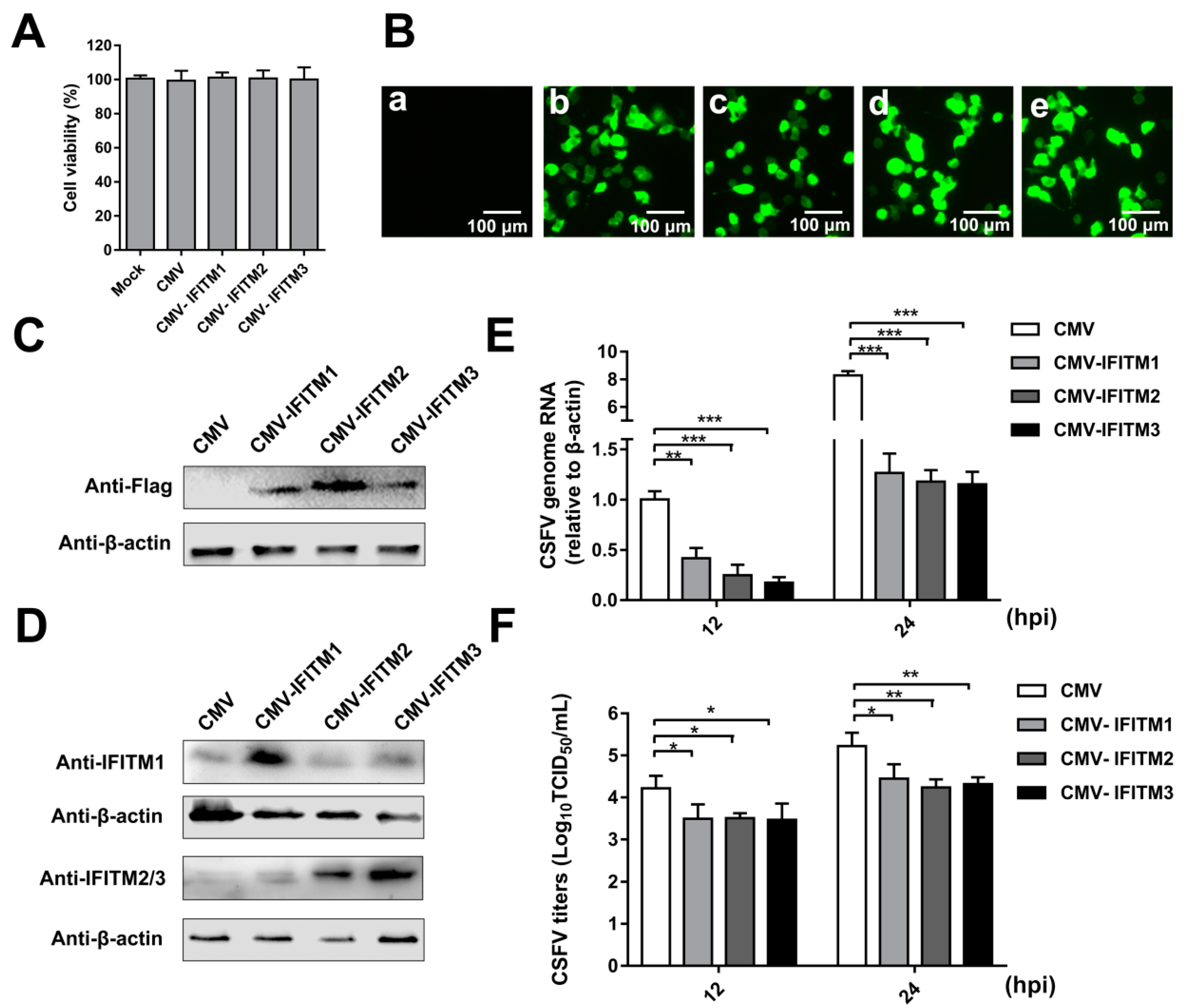 Viruses 11 00126 g001