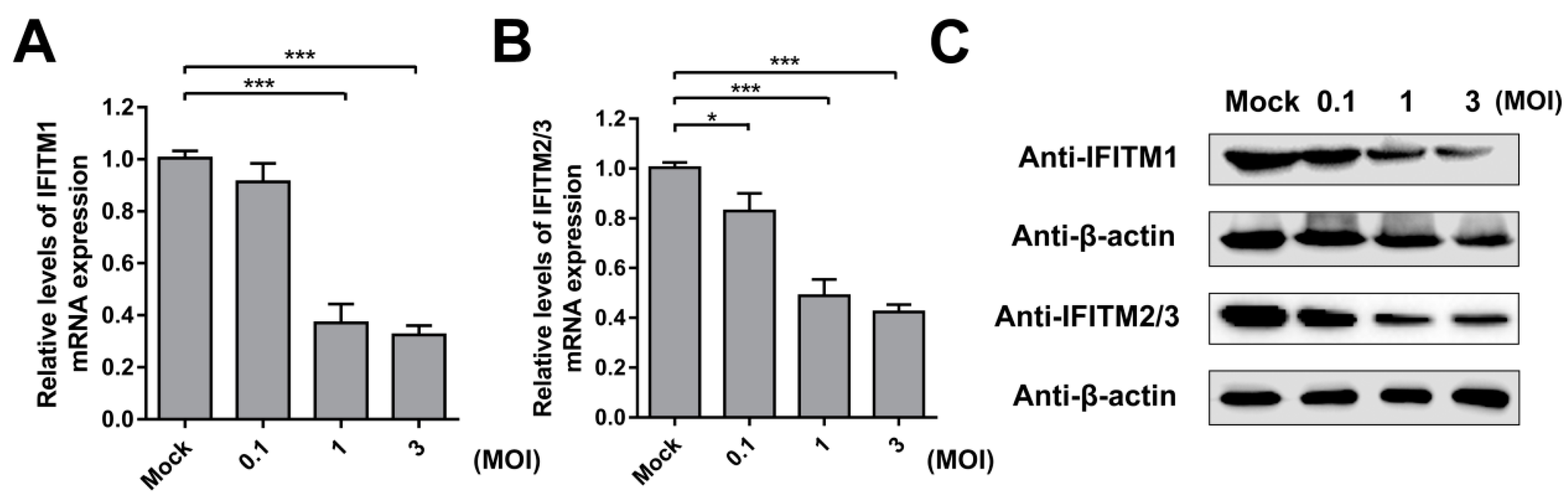 Viruses 11 00126 g004