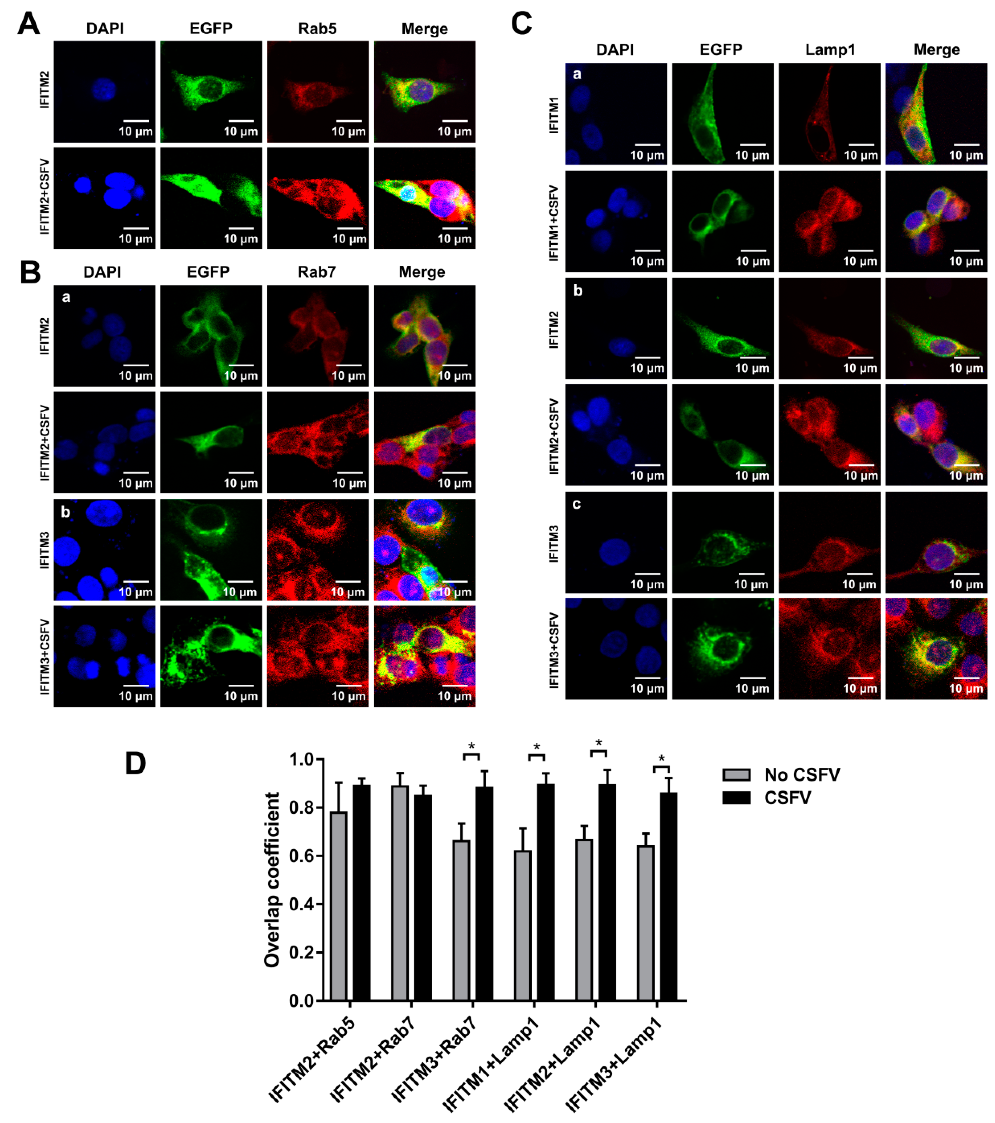 Viruses 11 00126 g007