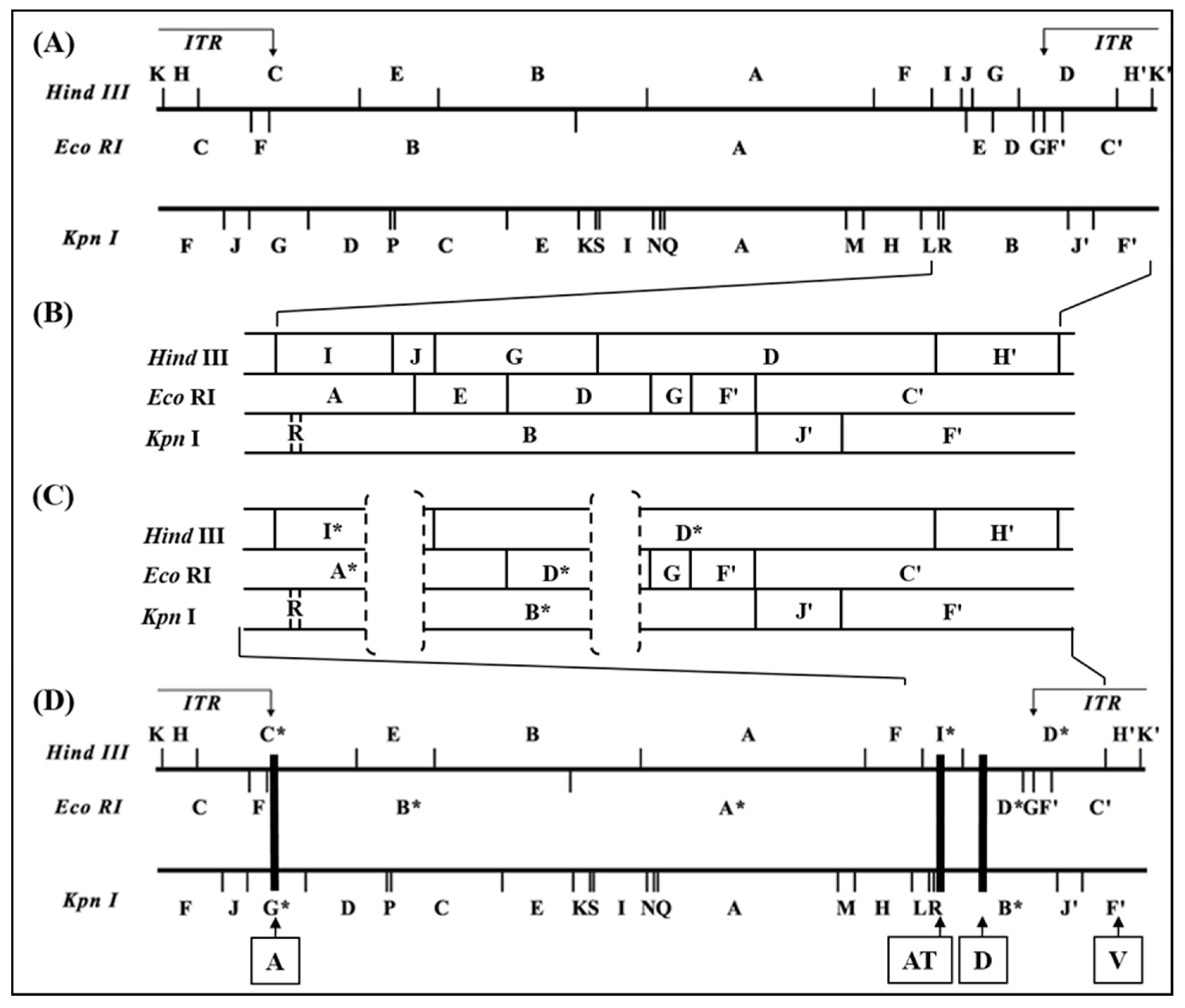 Viruses 11 00127 g002