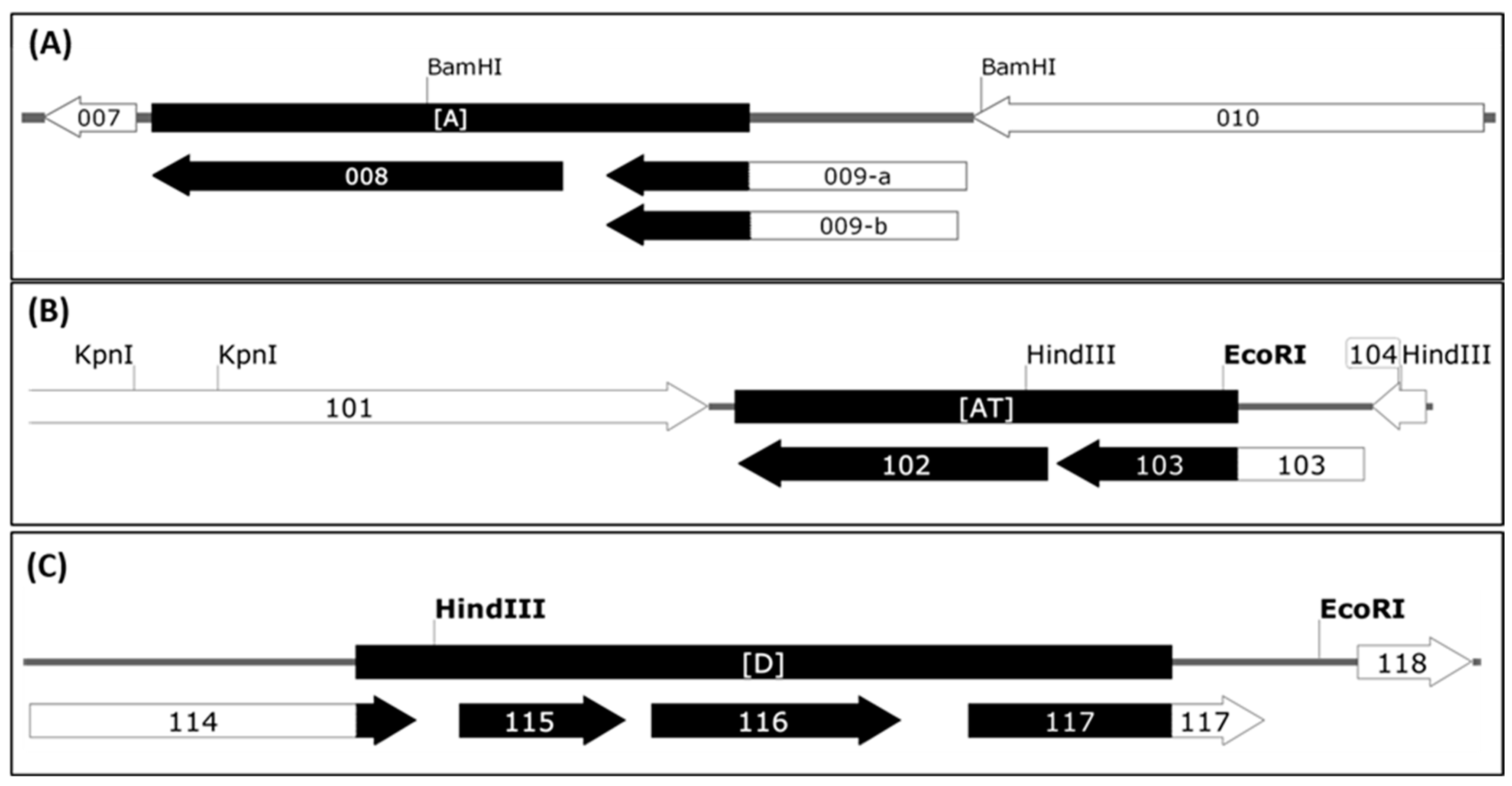 Viruses 11 00127 g003