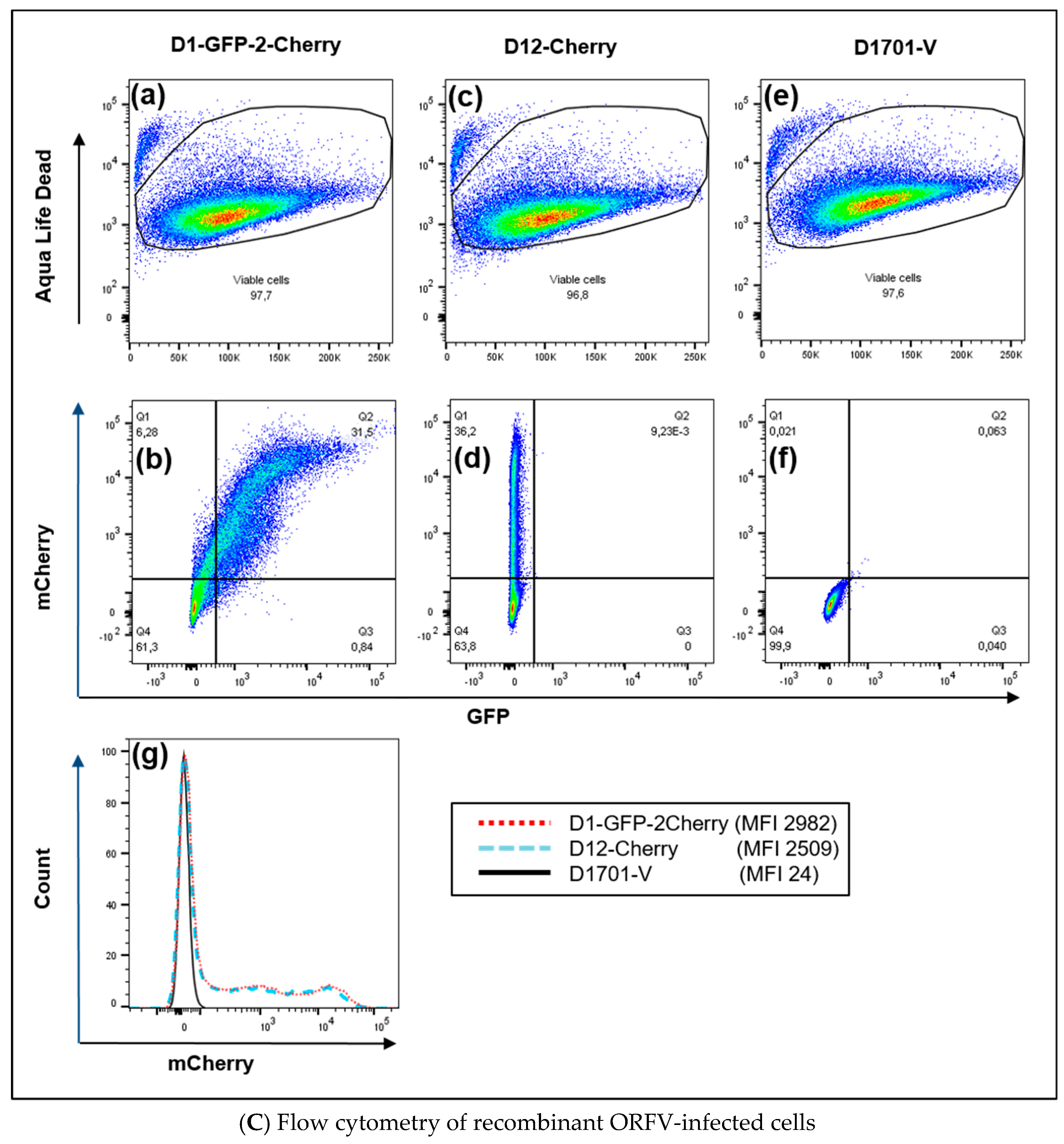 Viruses 11 00127 g005b