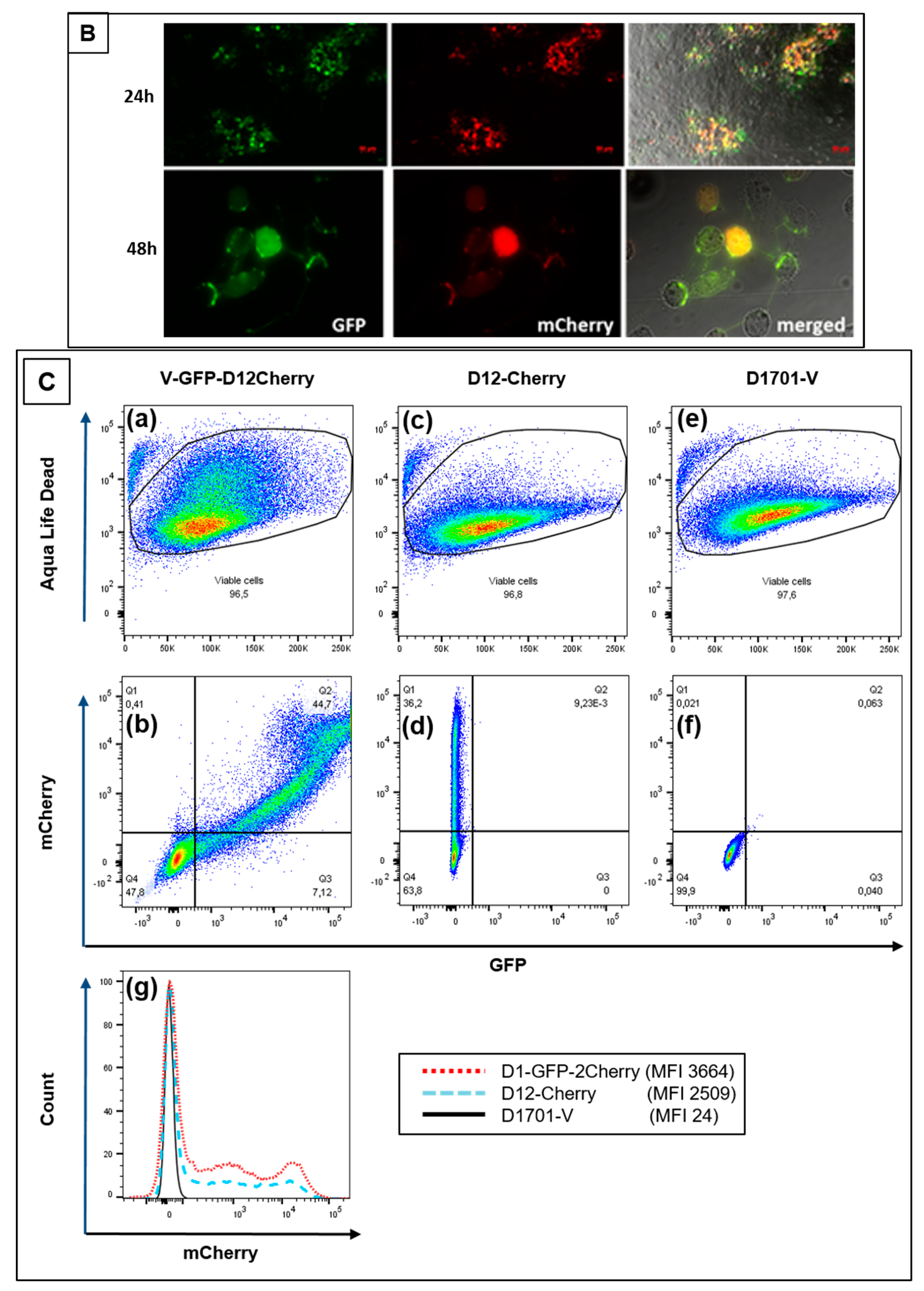 Viruses 11 00127 g006b