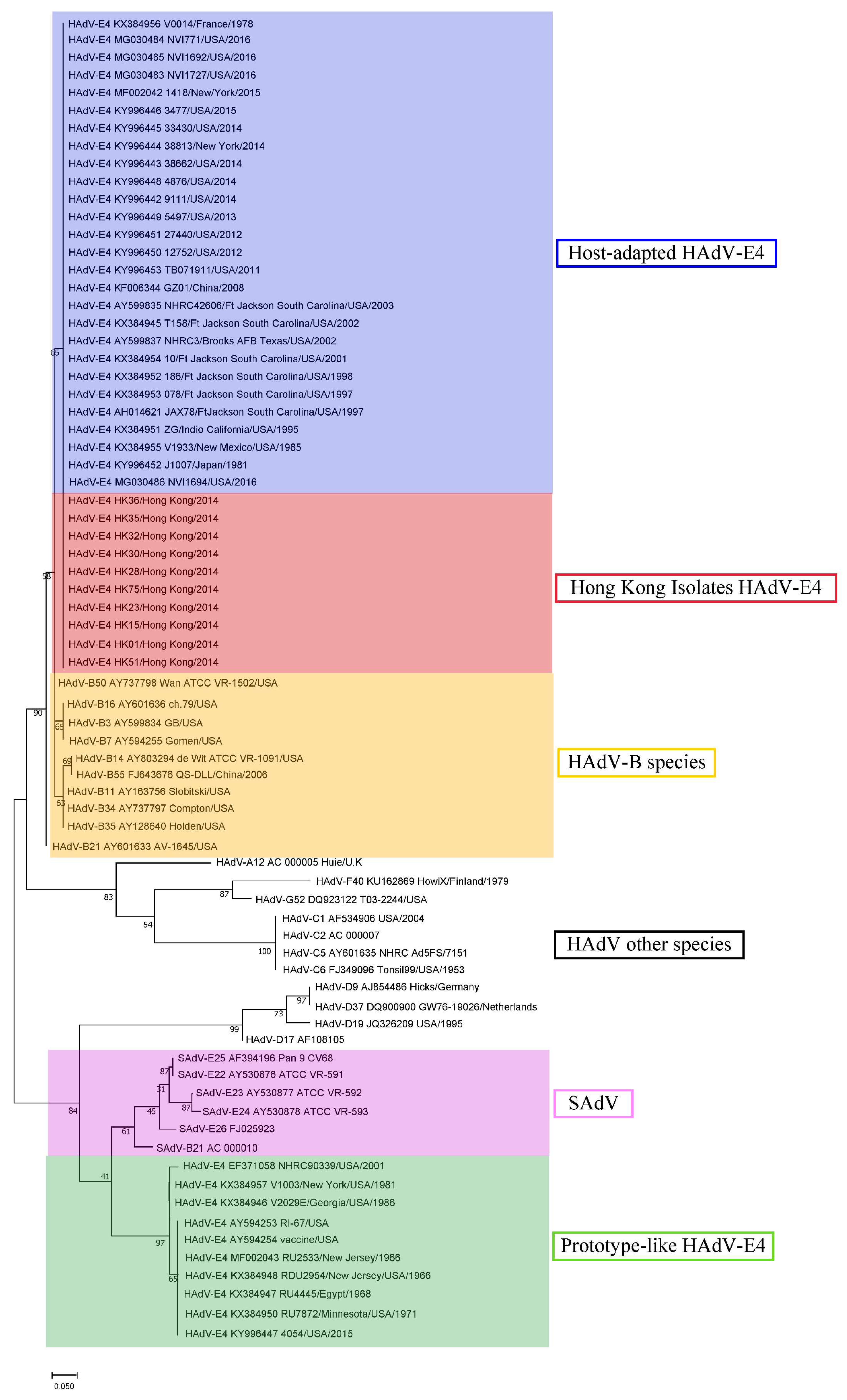 Viruses 11 00129 g002