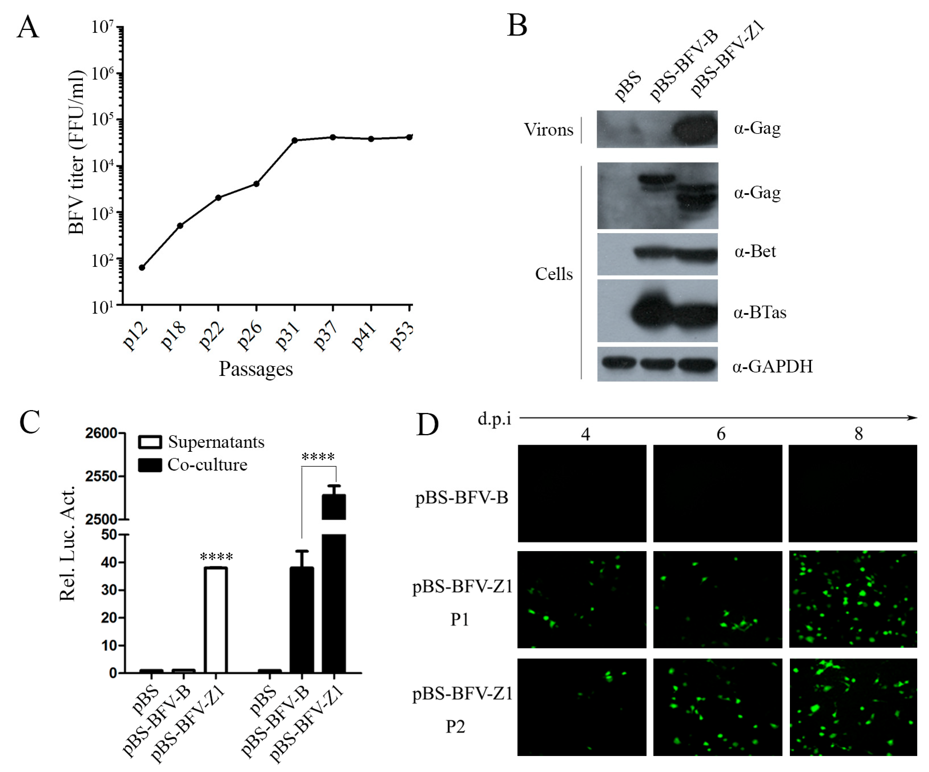 Viruses 11 00130 g001 Viruses 11 00130 g001