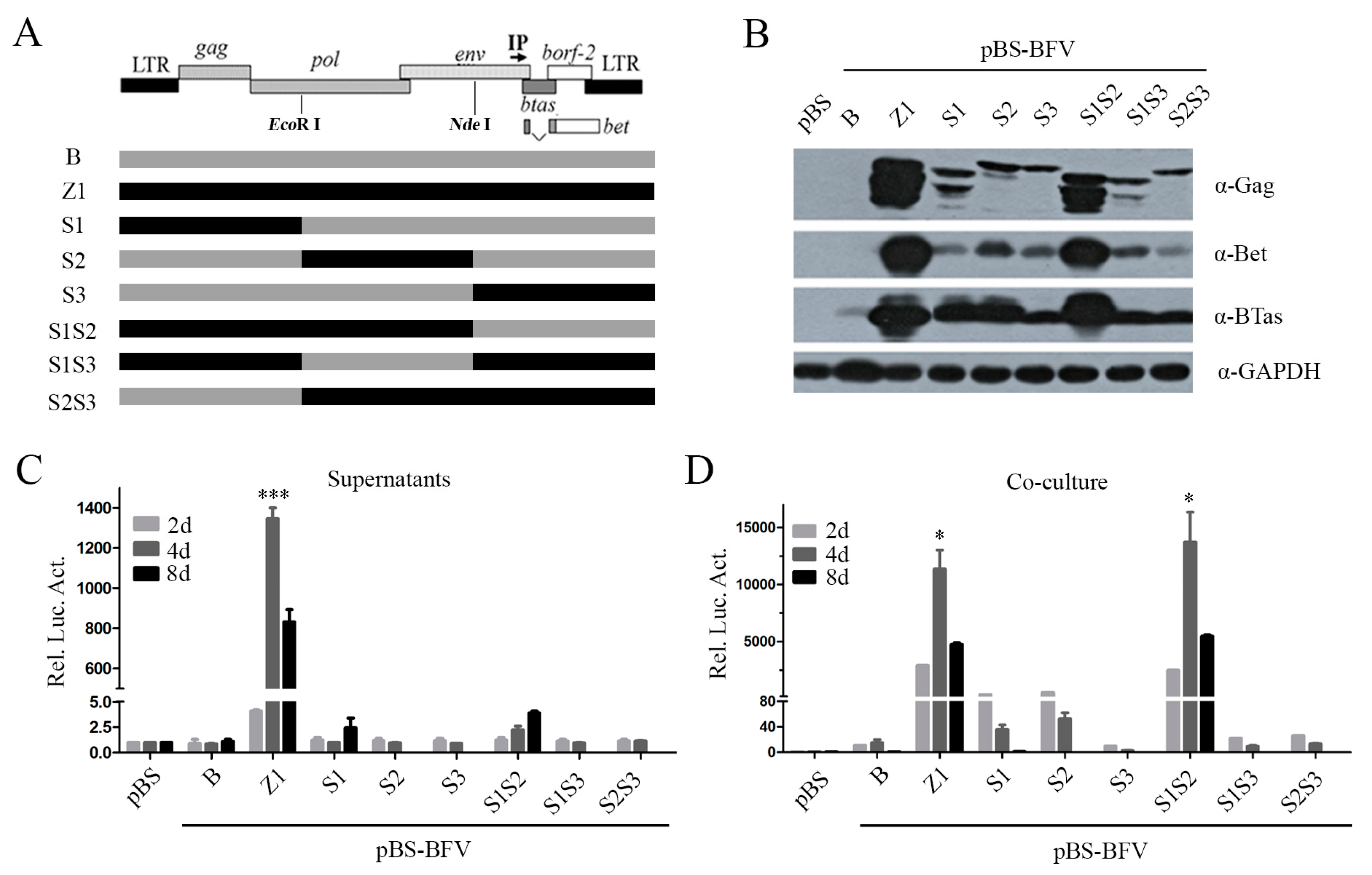 Viruses 11 00130 g002 Viruses 11 00130 g002