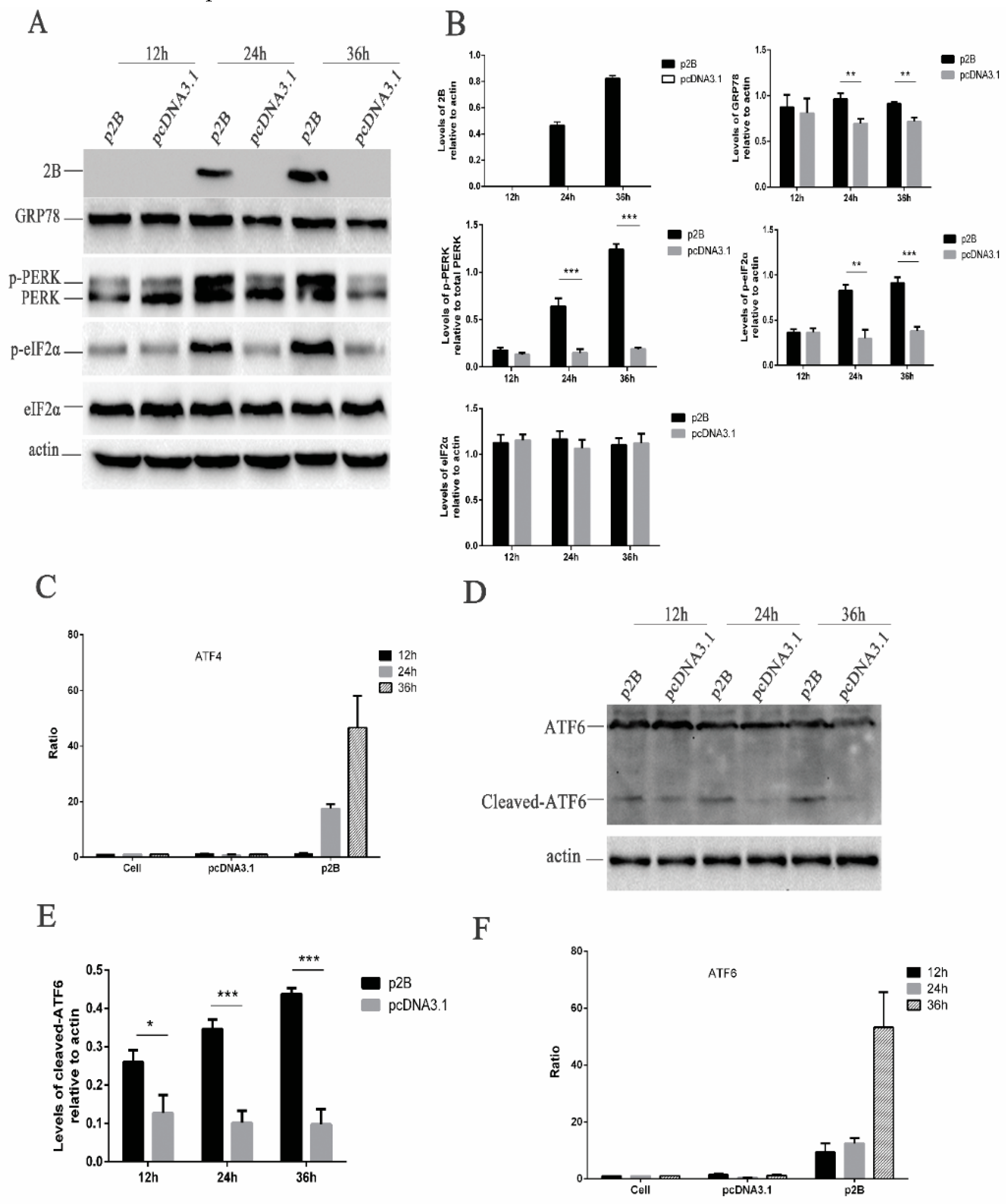 Viruses 11 00133 g005