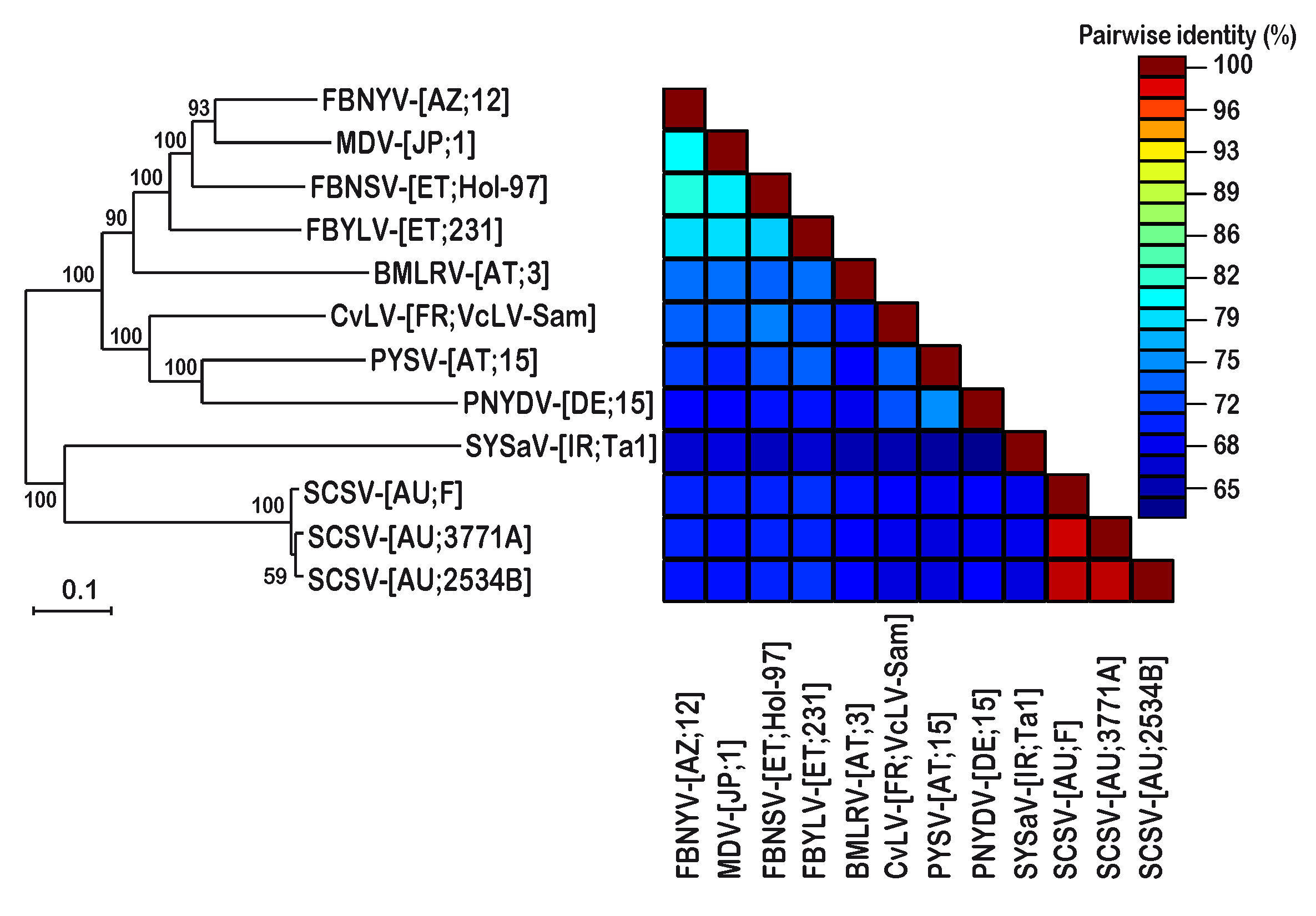 Viruses 11 00138 g002