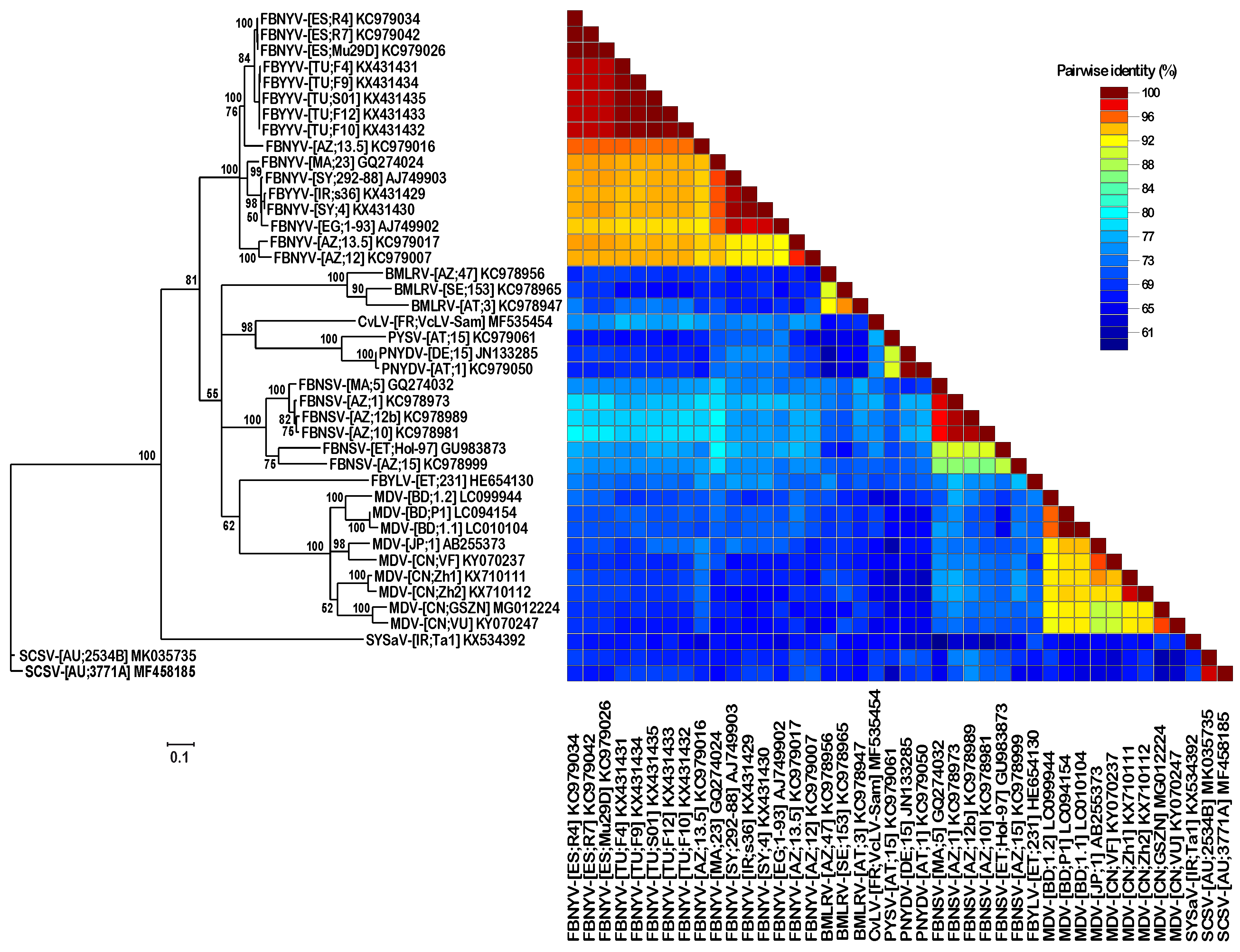 Viruses 11 00138 g004