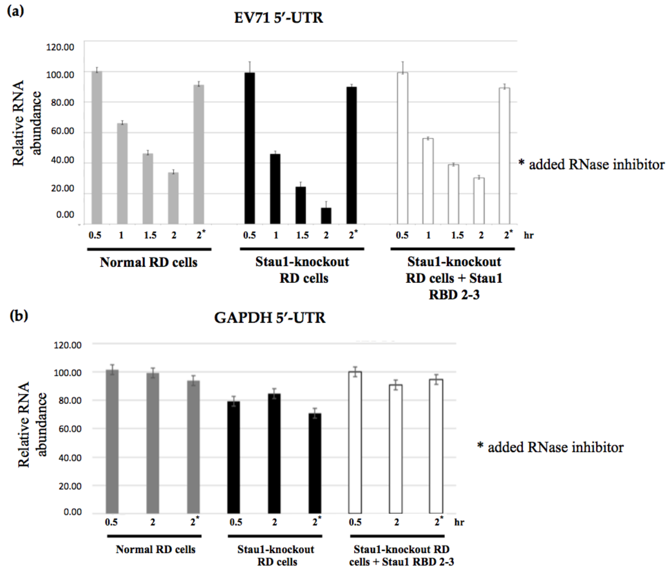 Viruses 11 00142 g007
