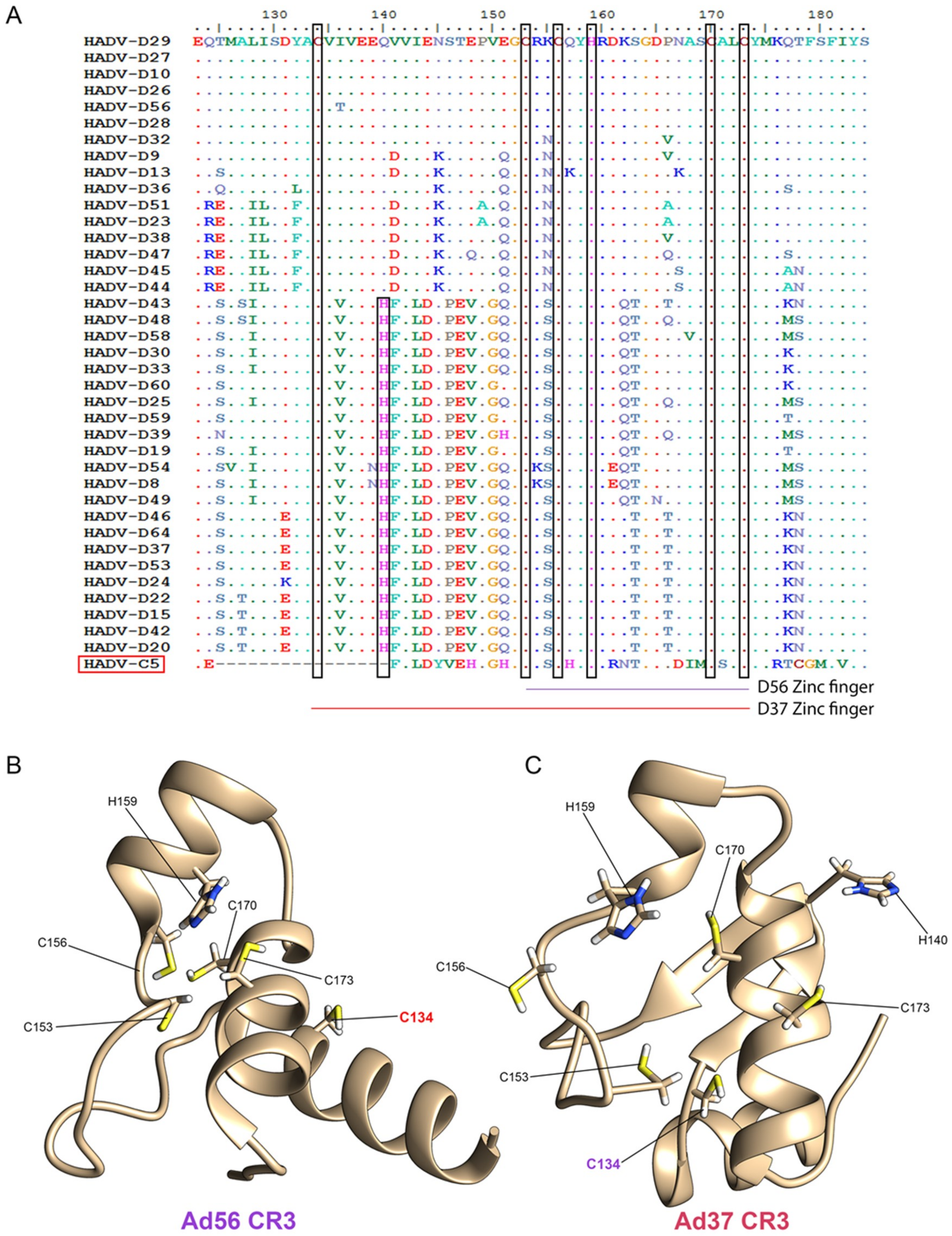 Viruses 11 00143 g003