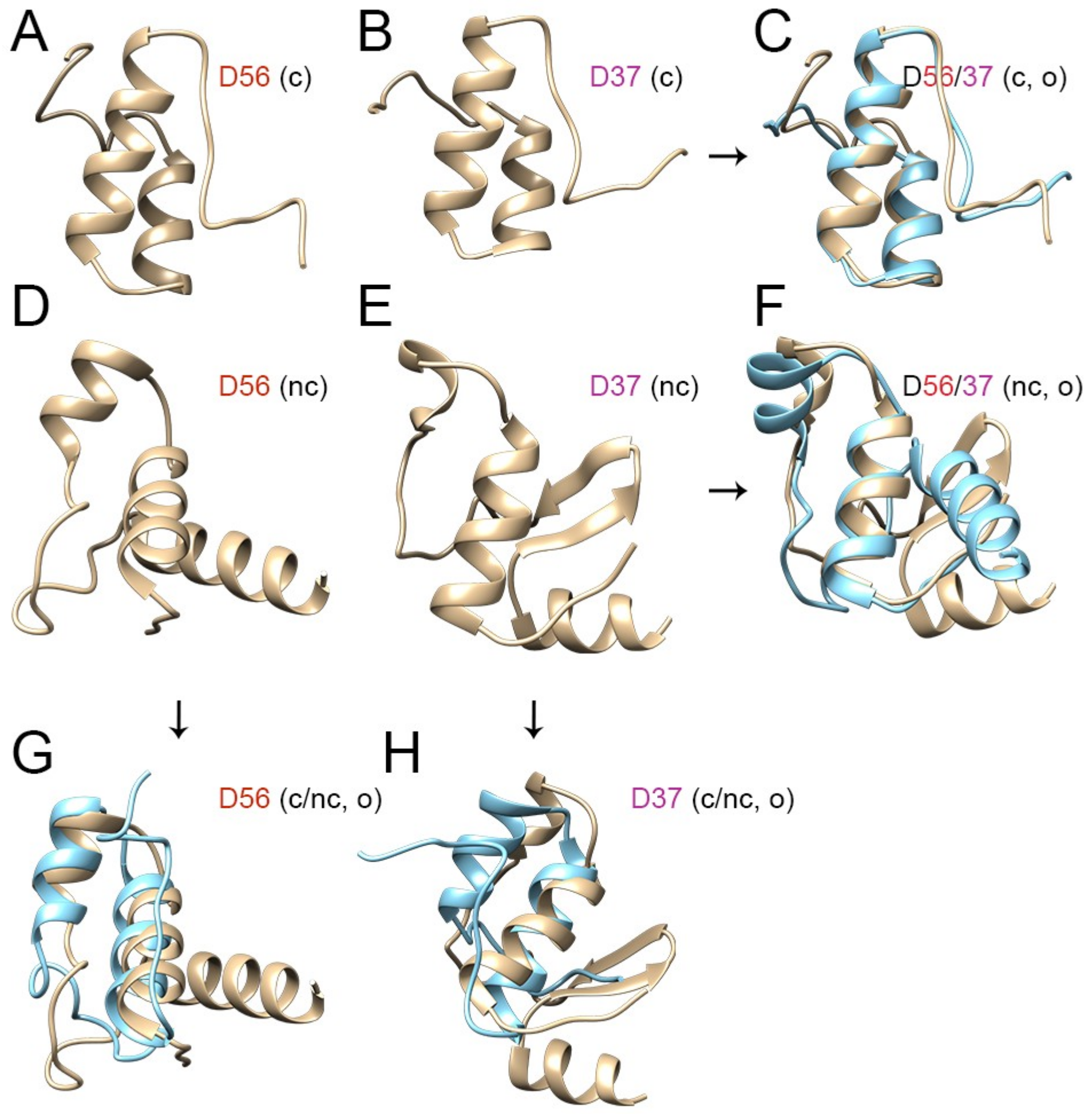 Viruses 11 00143 g004
