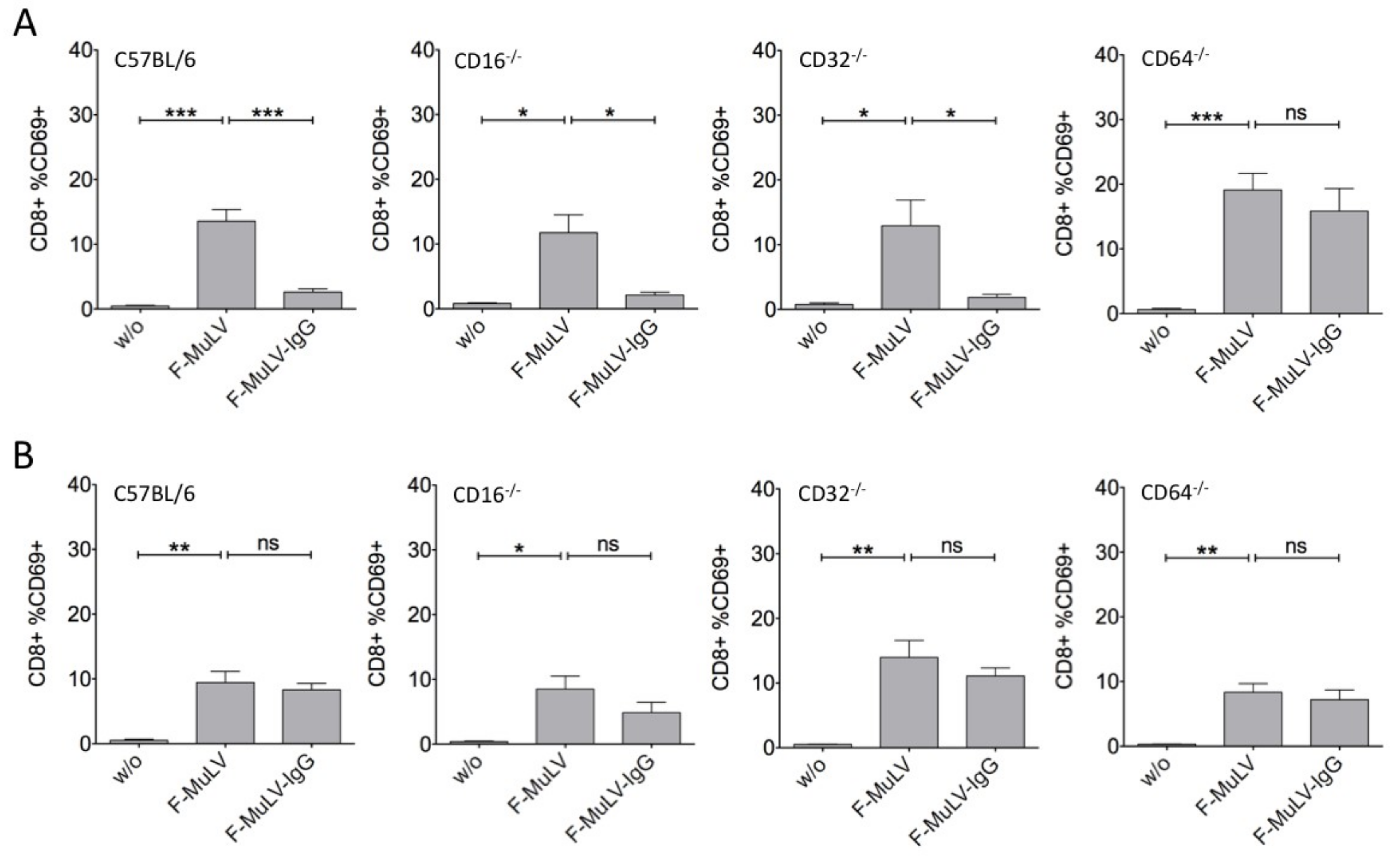 Viruses 11 00145 g005