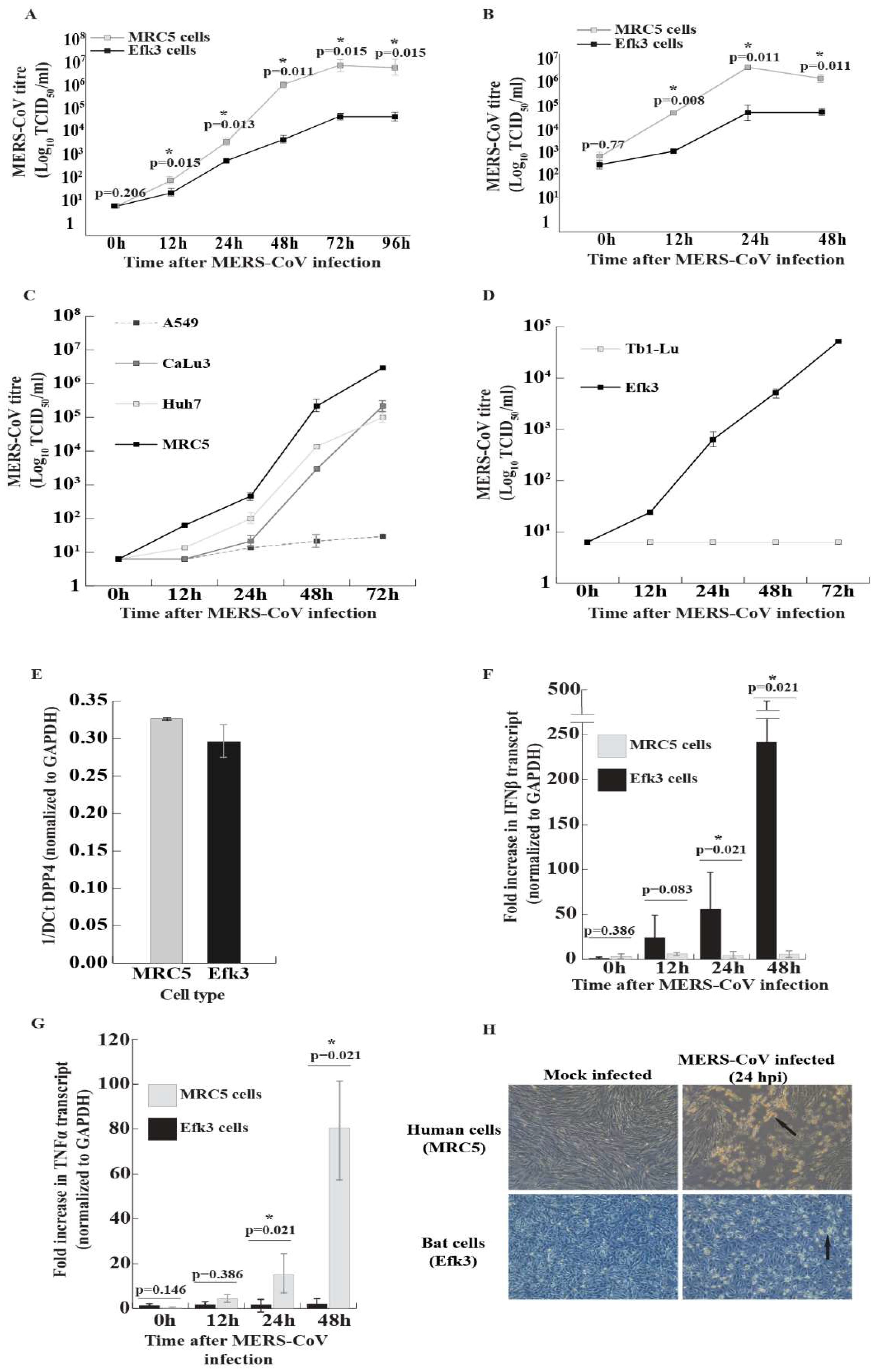 Viruses 11 00152 g001 Viruses 11 00152 g001