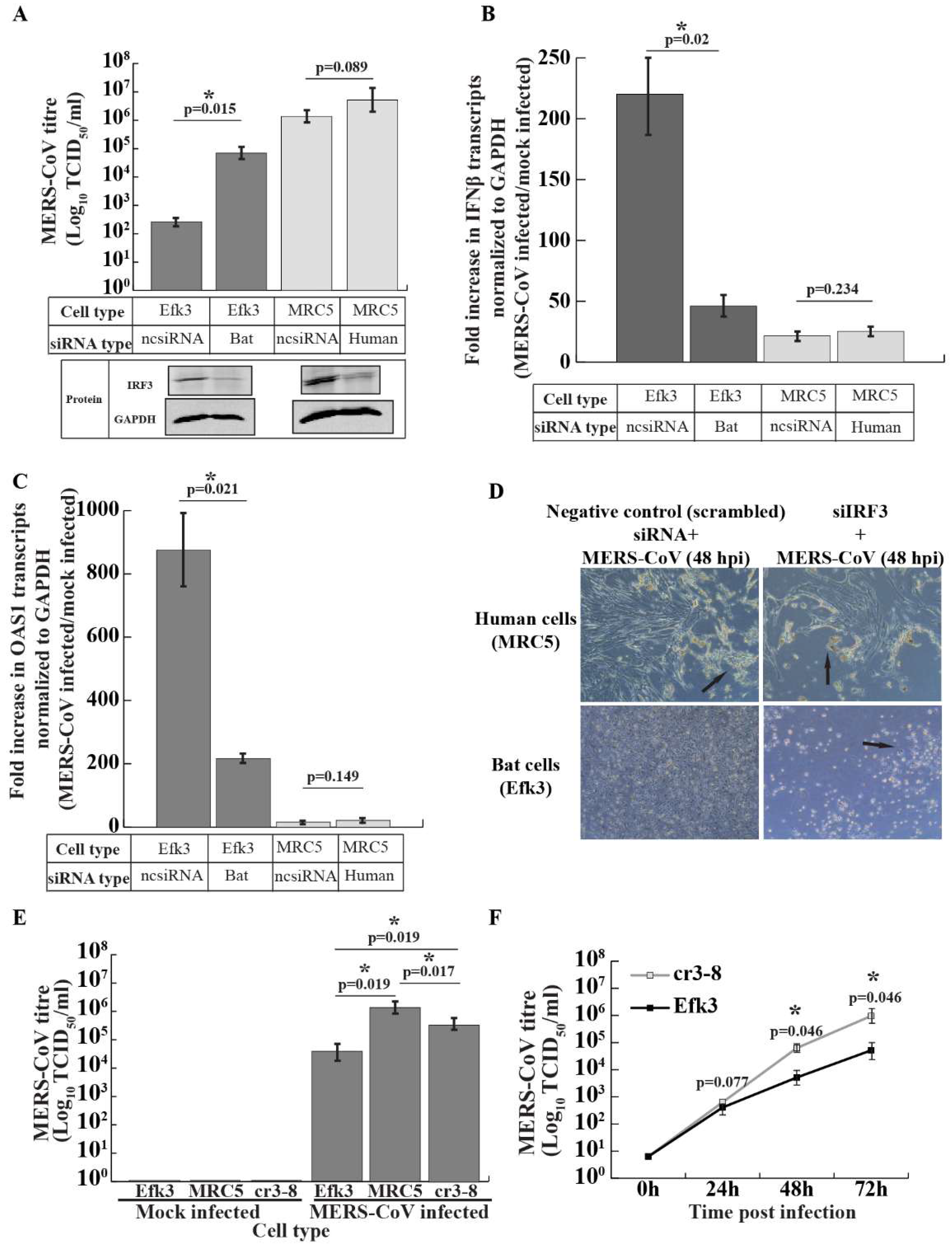 Viruses 11 00152 g005 Viruses 11 00152 g005