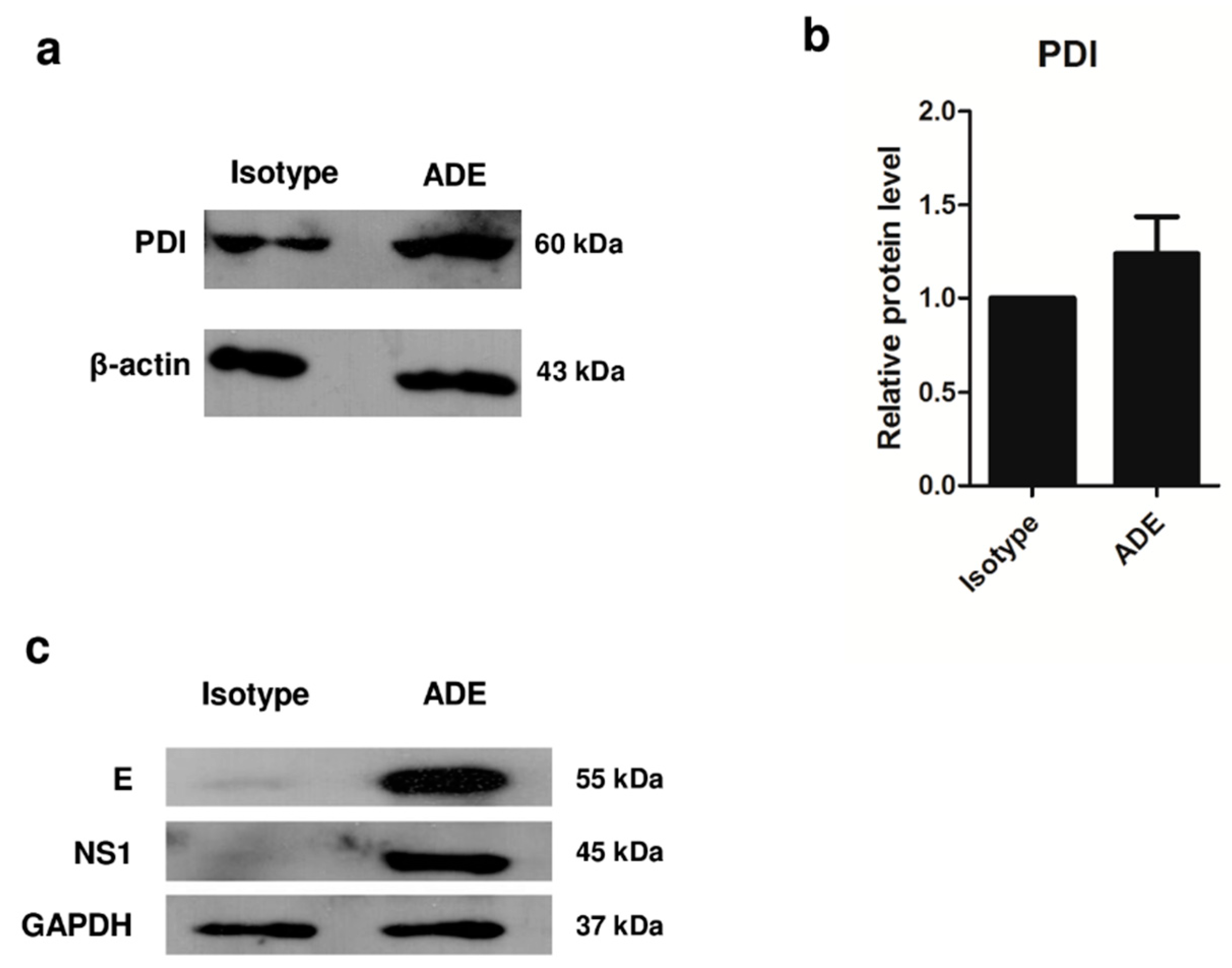 Viruses 11 00155 g003 550